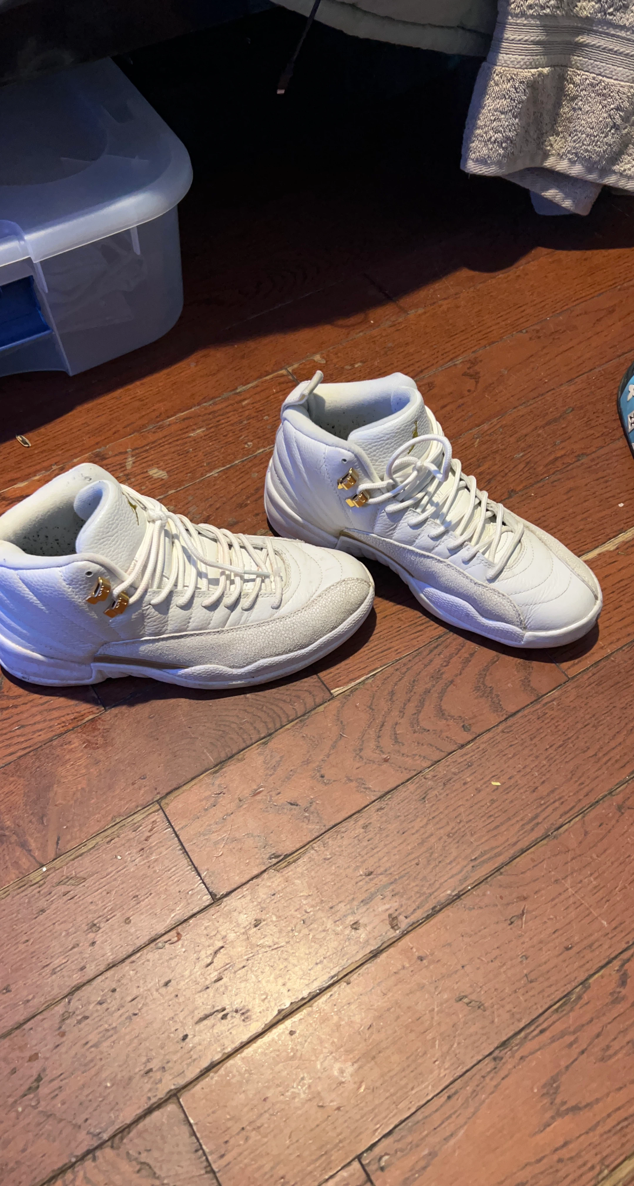 Jordan 12 Retro Shoes