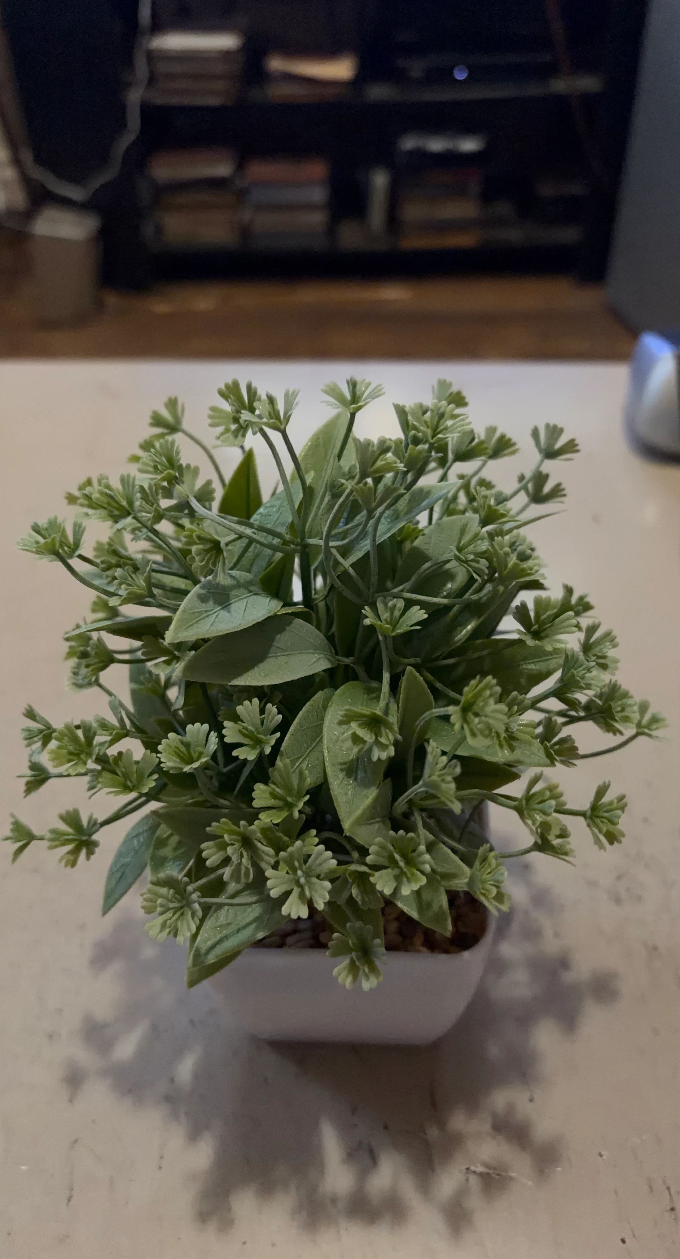 Artificial Green Plant in White Pot