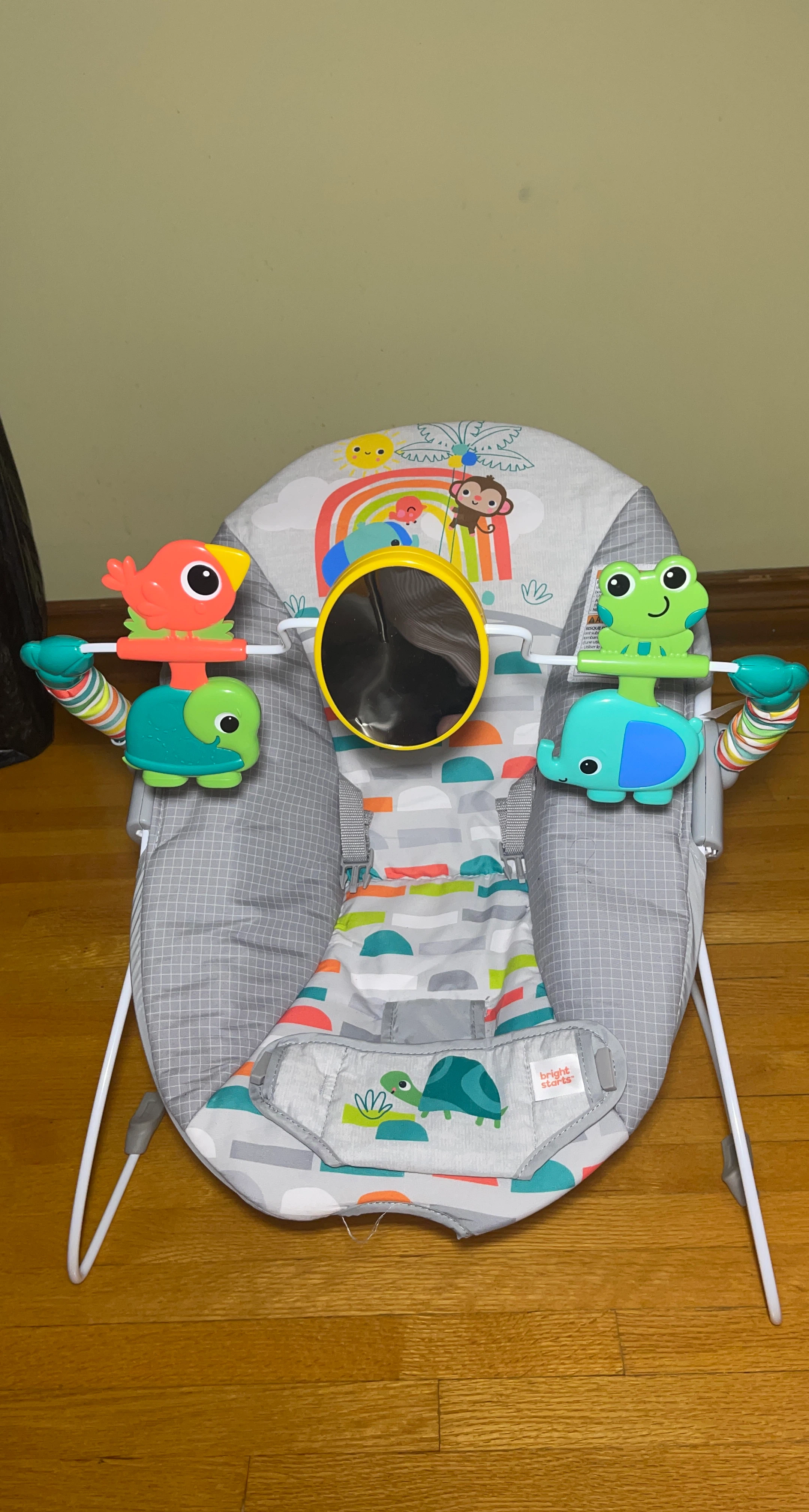 Bright Starts Baby Bouncer Seat