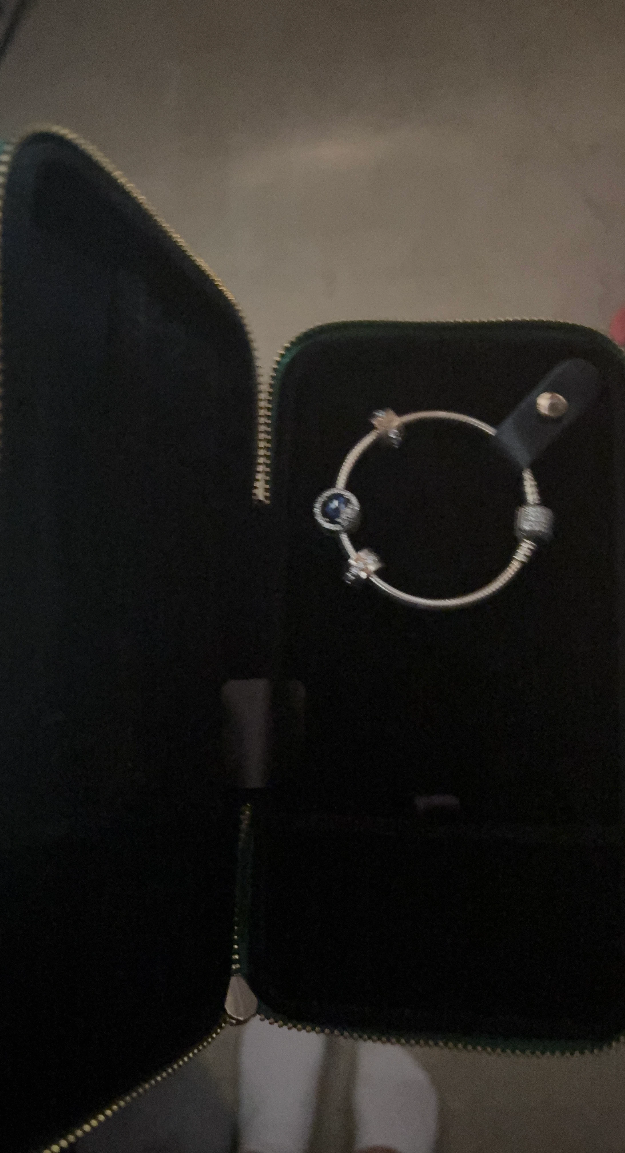 Pandora Bracelet with Charms