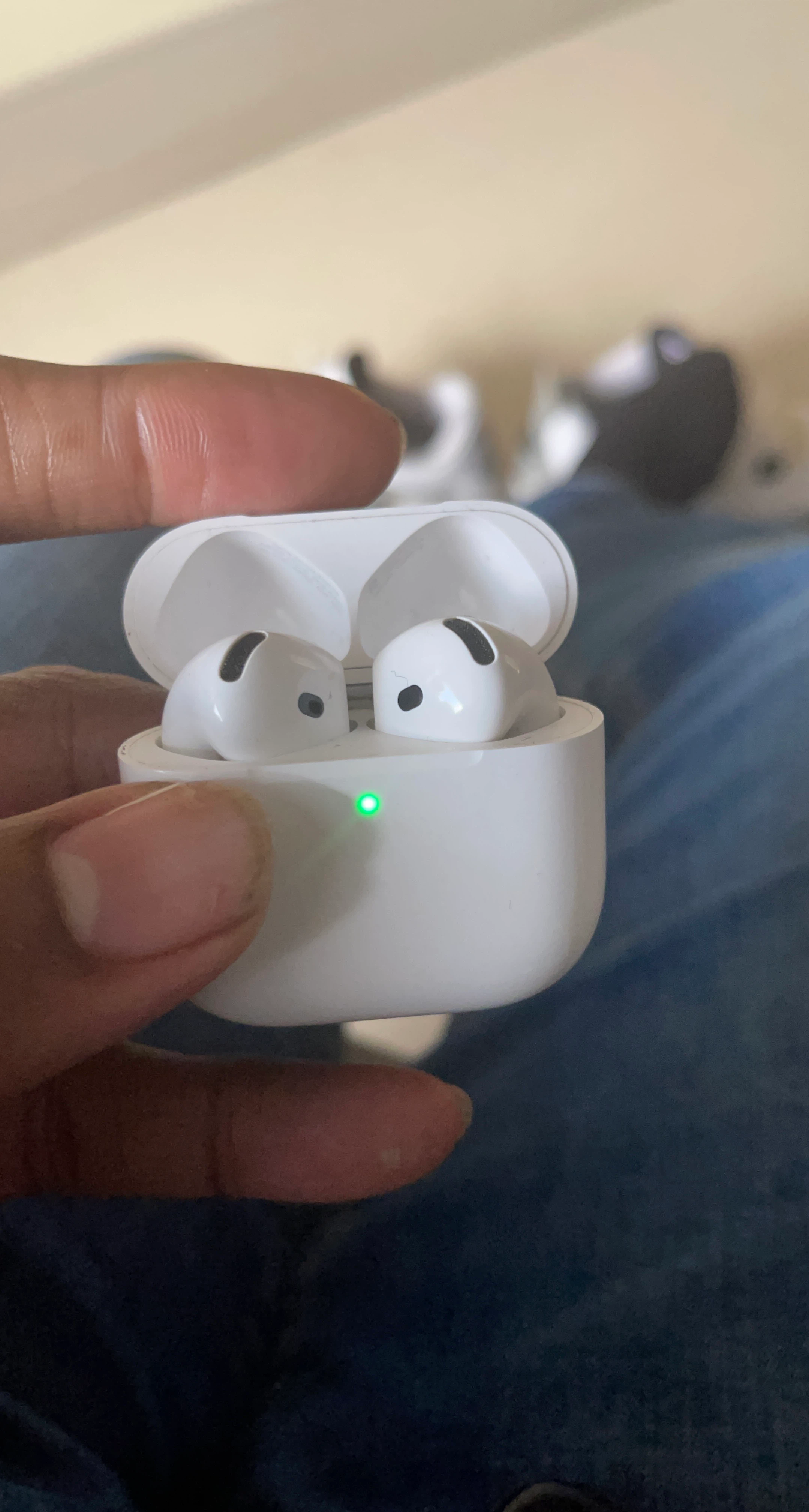 Apple AirPods Pro Charging Case with Earbuds