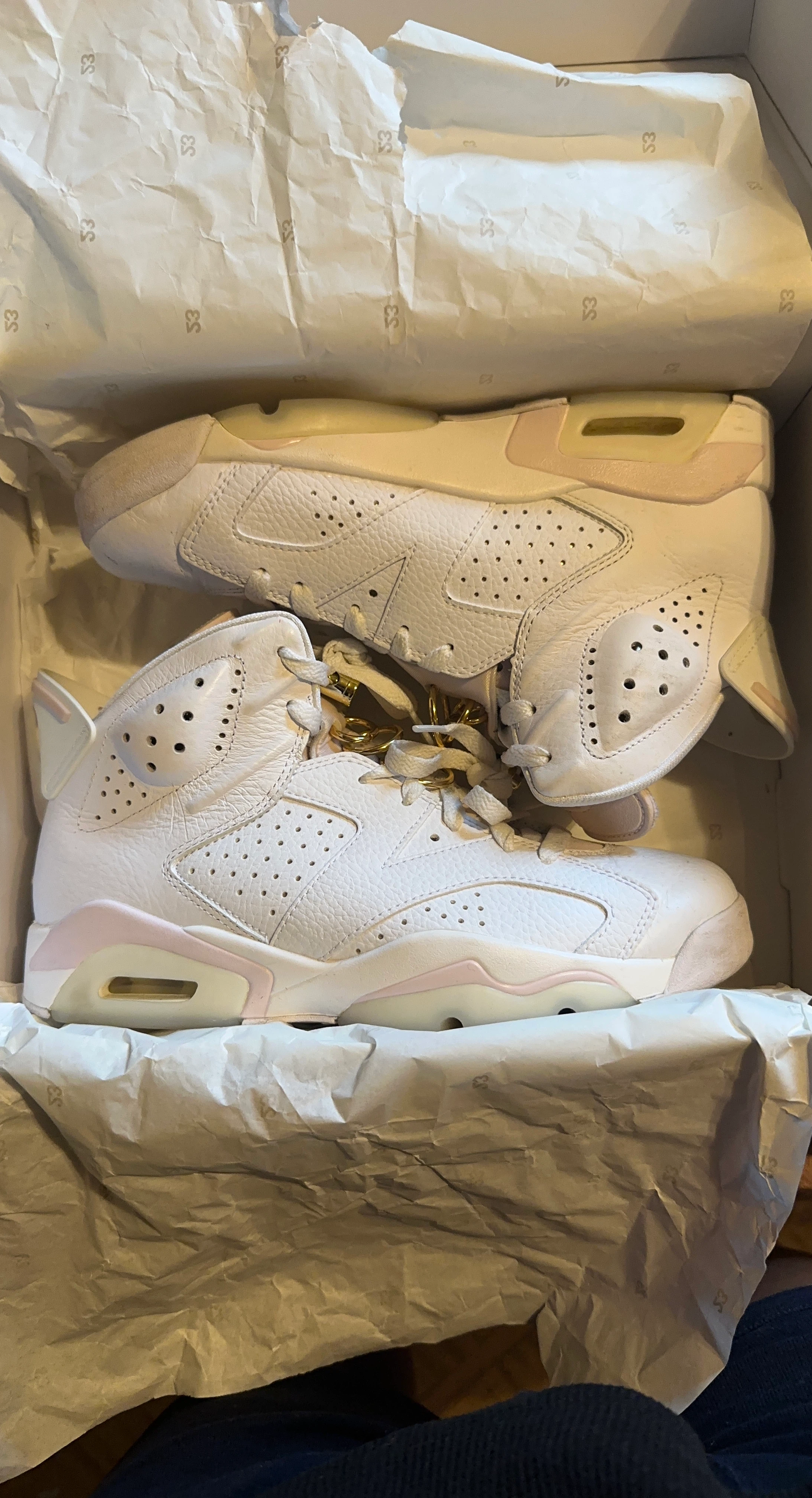 Air Jordan 6 " Gold Hoops"
