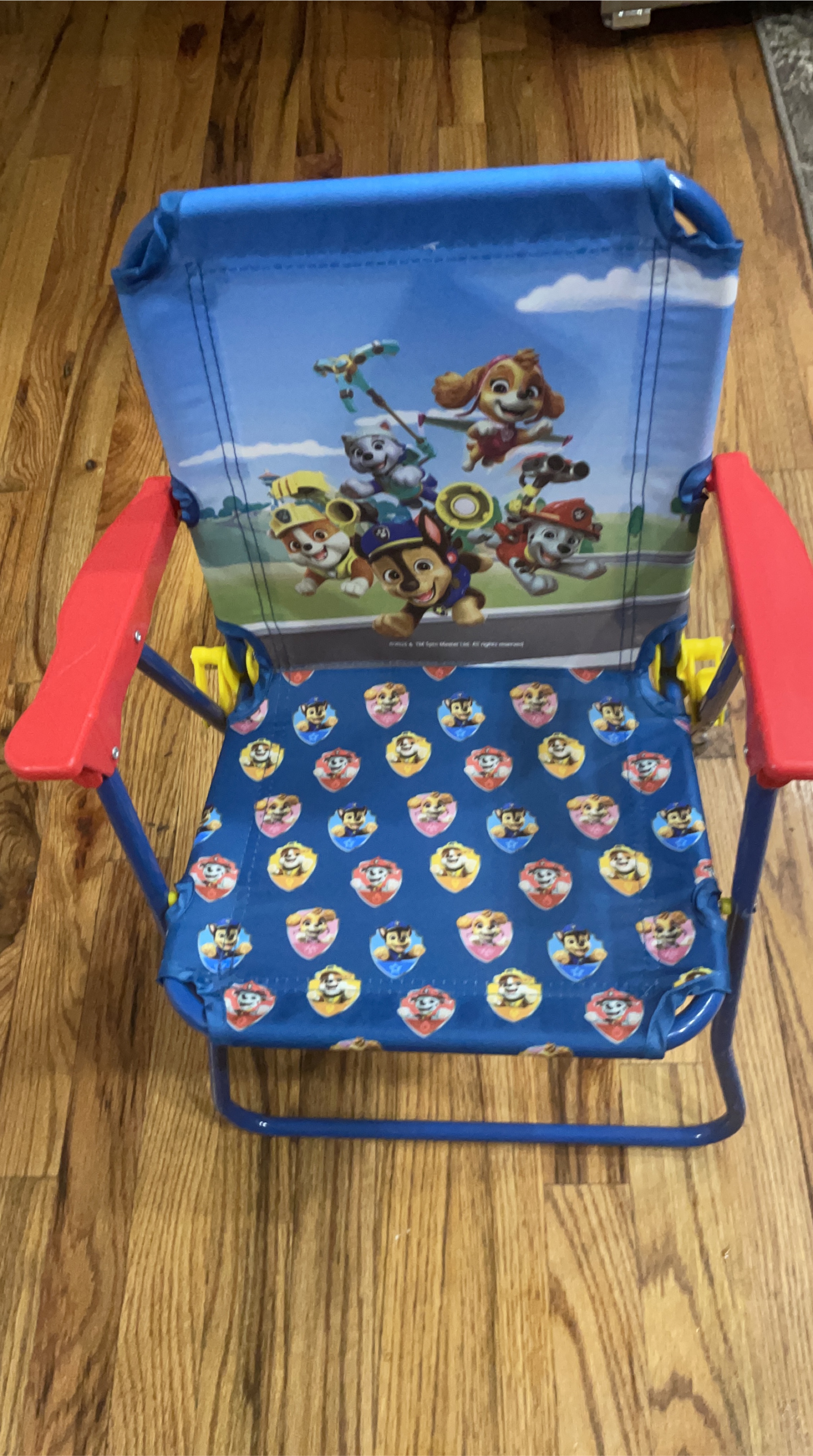 Paw Patrol Kids Folding Camp Chair