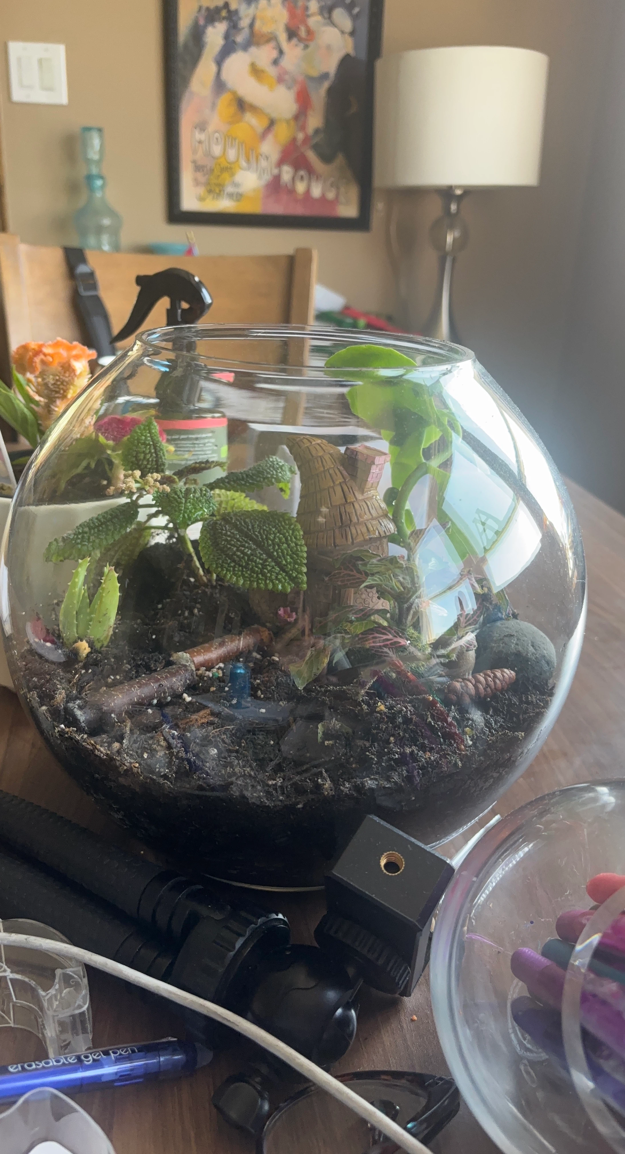 Glass Terrarium with Plants