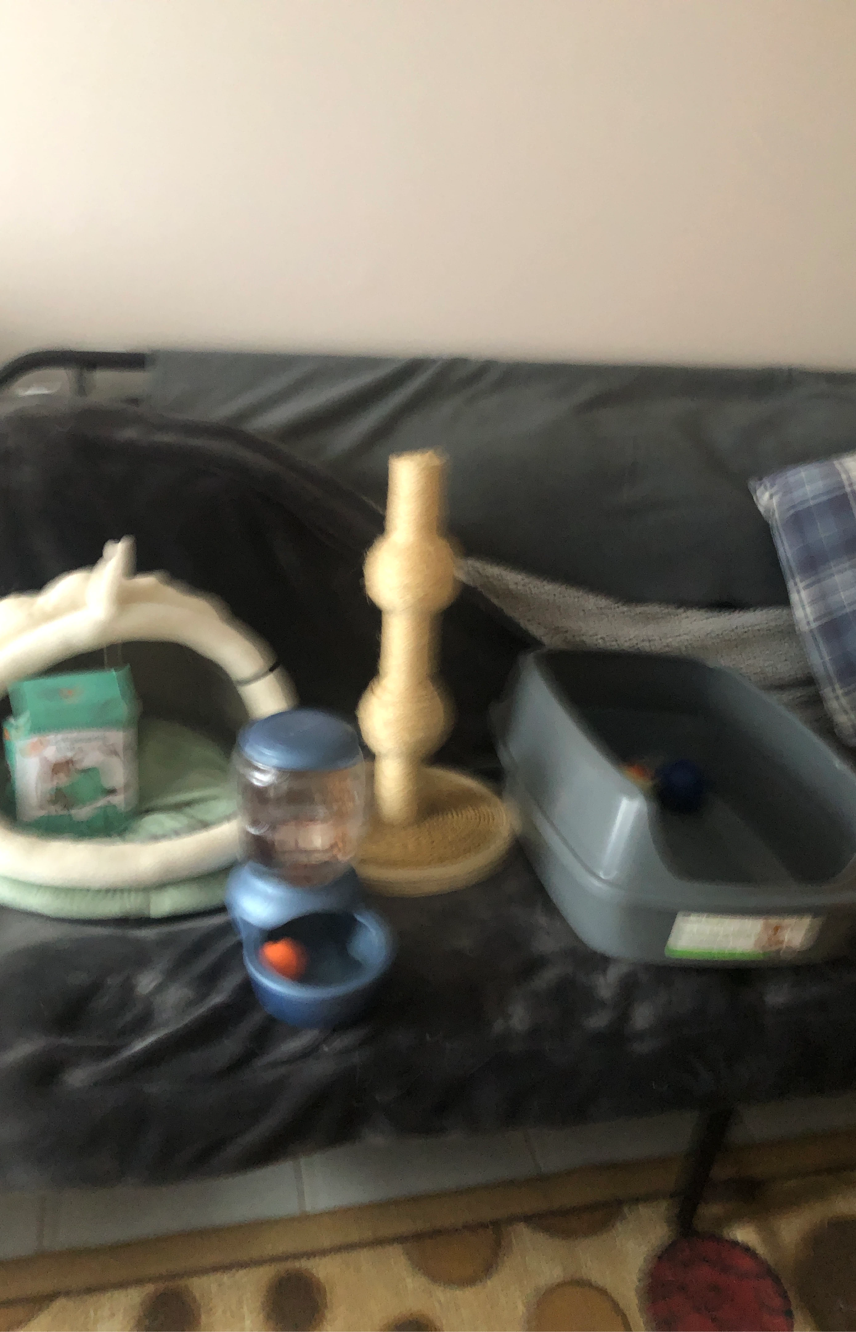 Pet Supplies Bundle