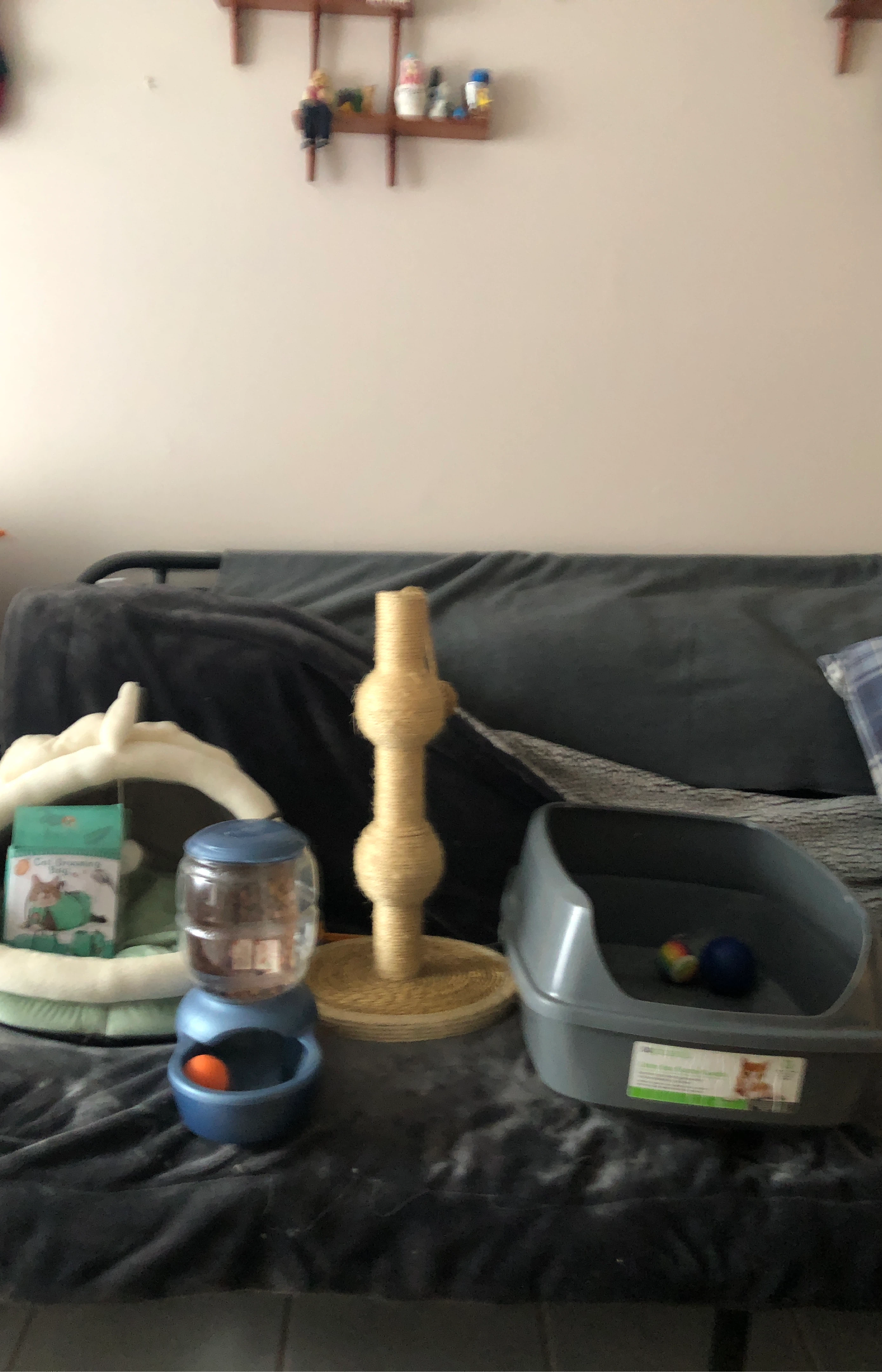Cat Litter Box, Food/Water Dispenser, and Scratch Post Set