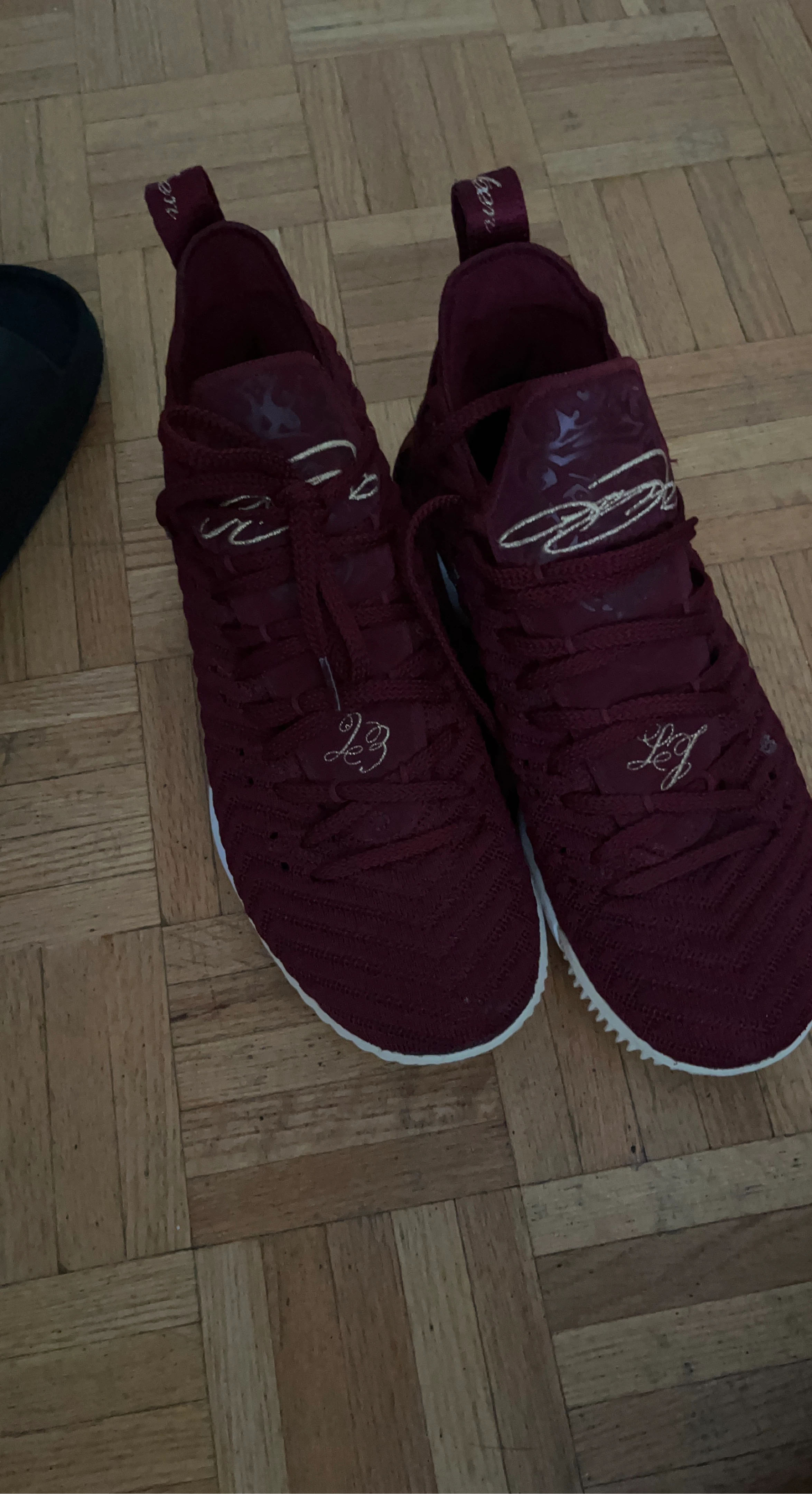 Nike LeBron 16 Burgundy Basketball Shoes
