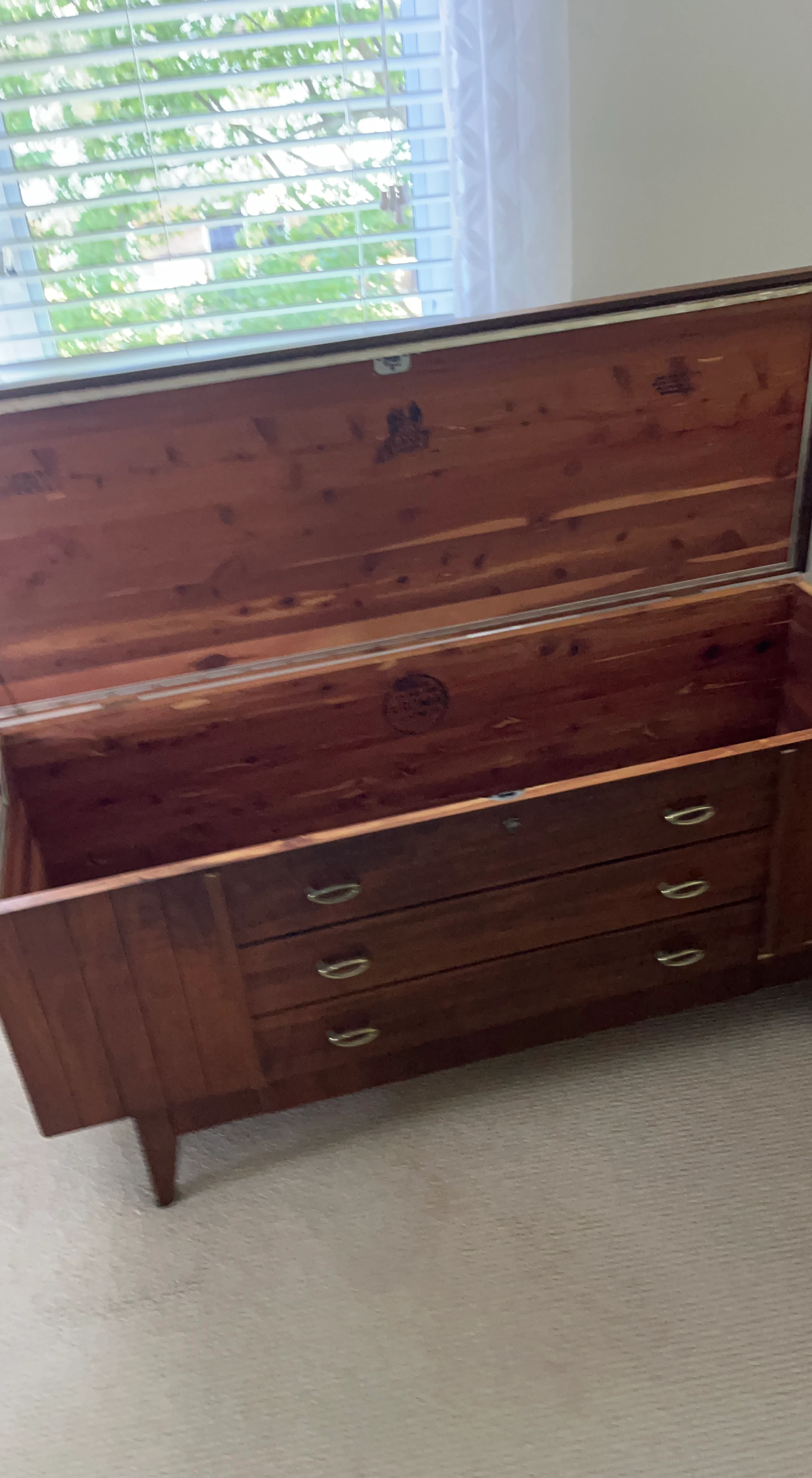 Vintage Cedar Chest