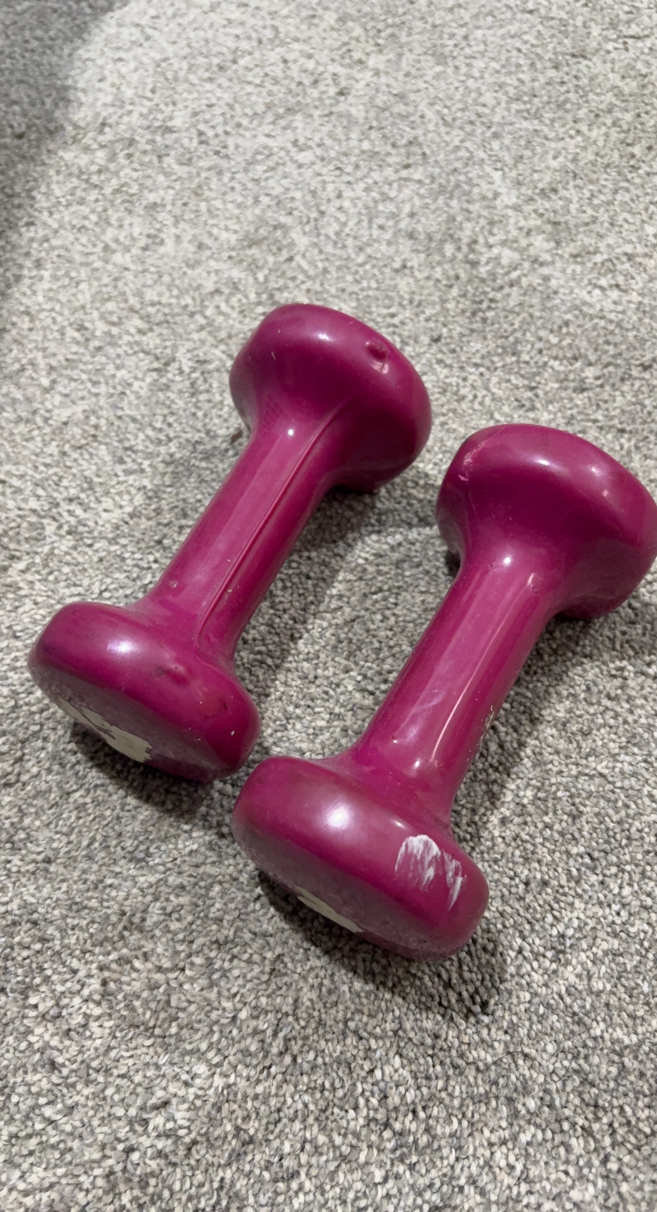 Pair of Dumbbells