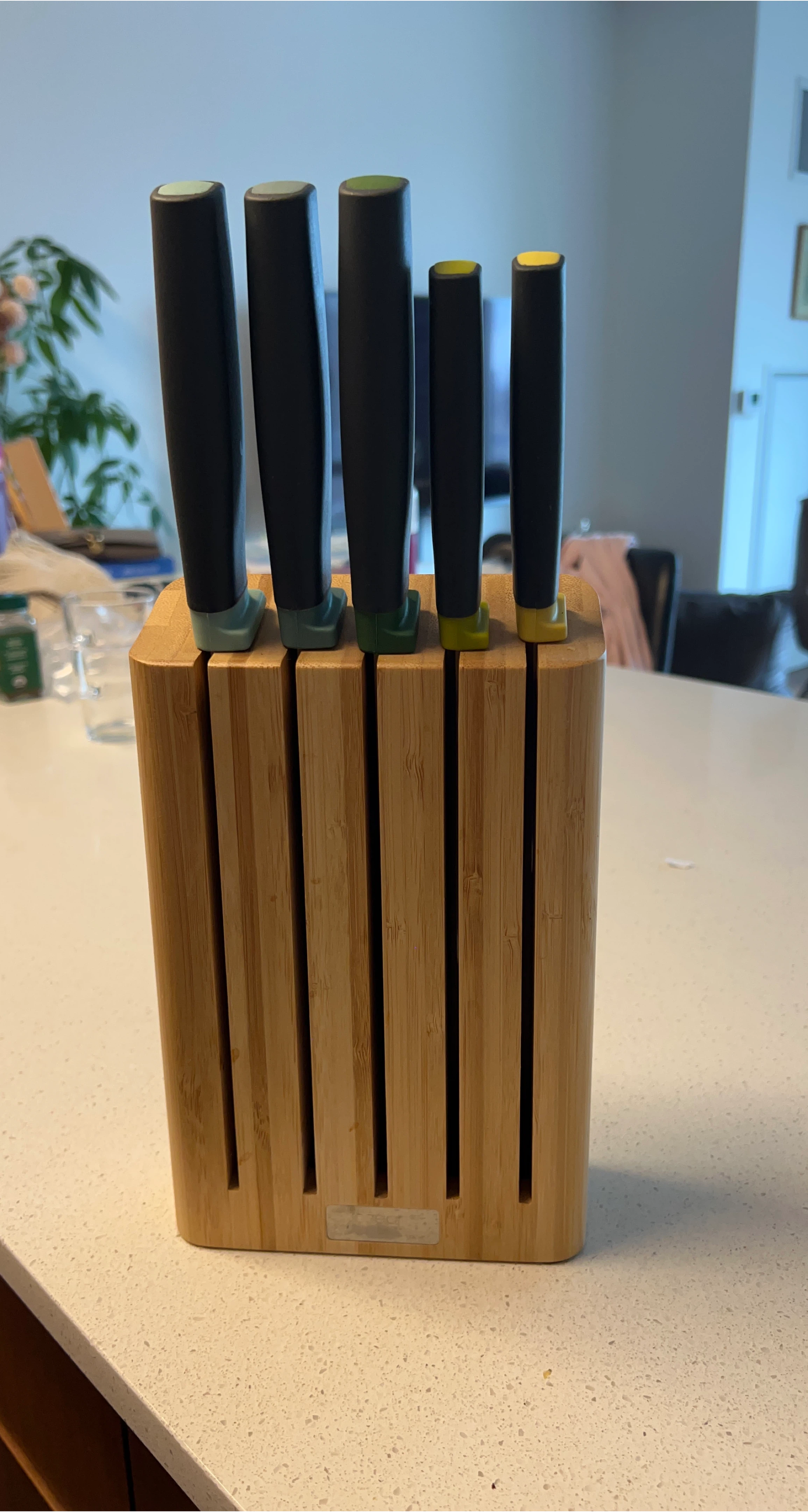 Set of 5 Knives with Bamboo Block