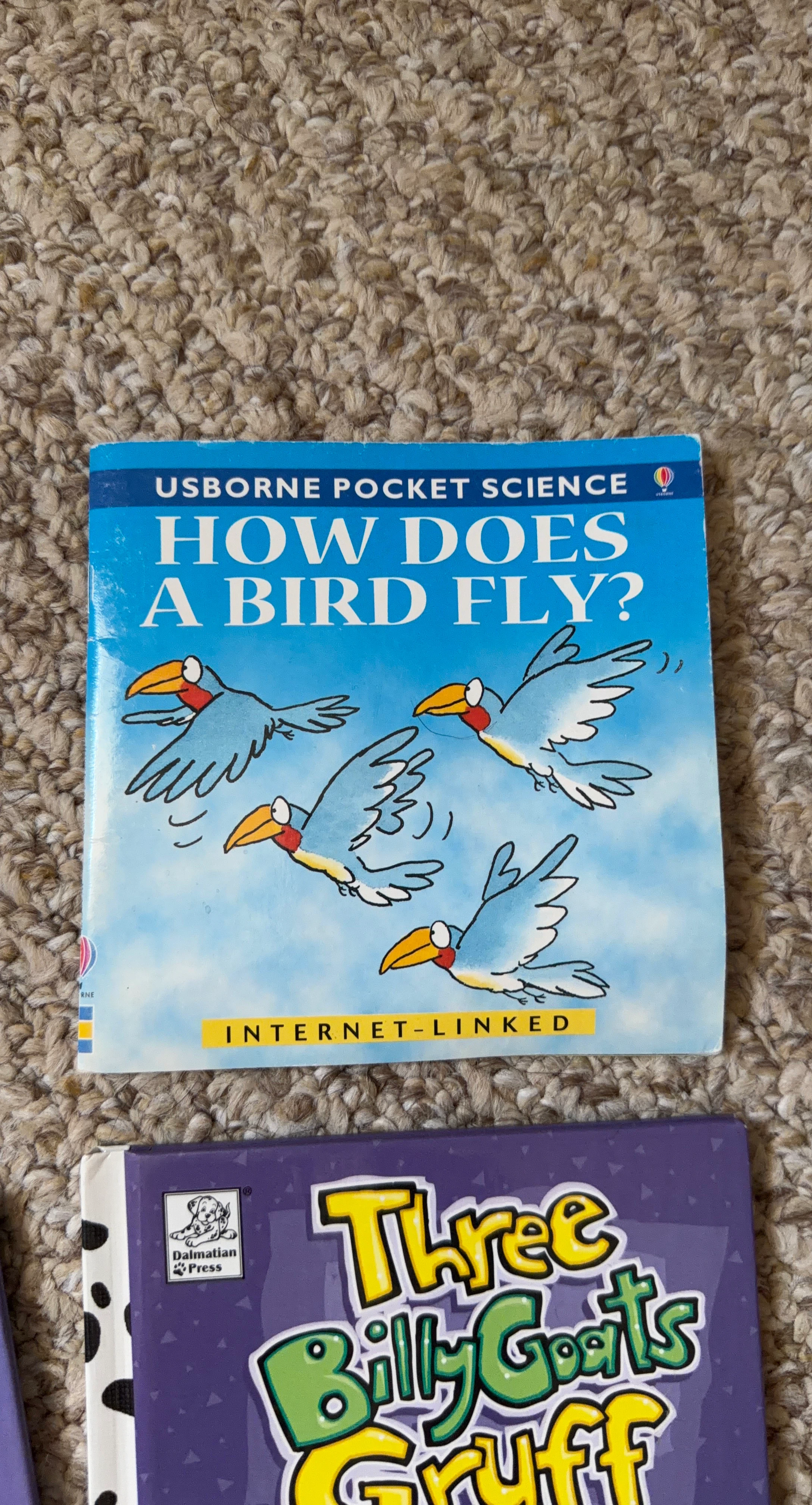 Usborne Pocket Science: How Does a Bird Fly?