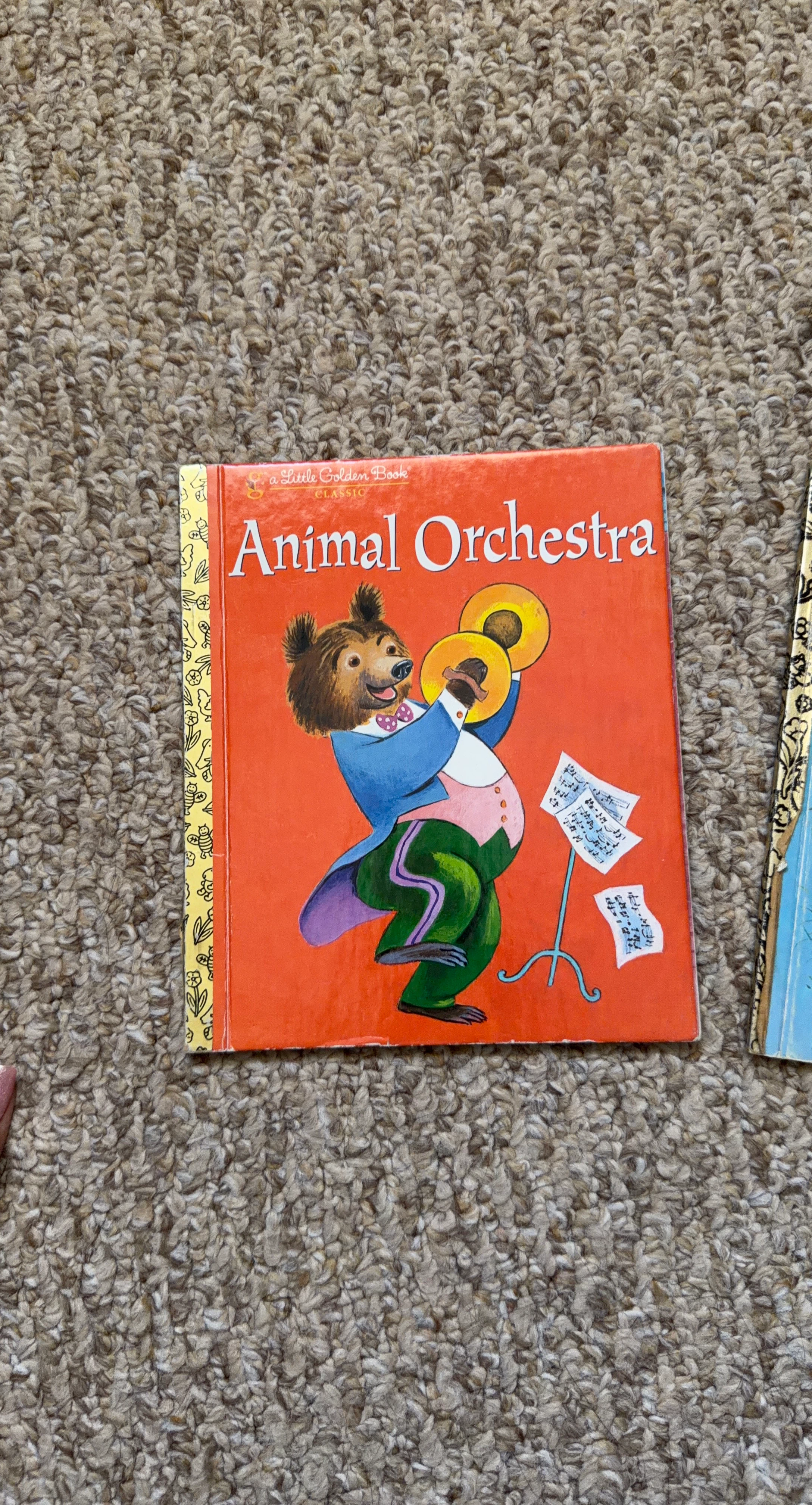 Little Golden Book: Animal Orchestra
