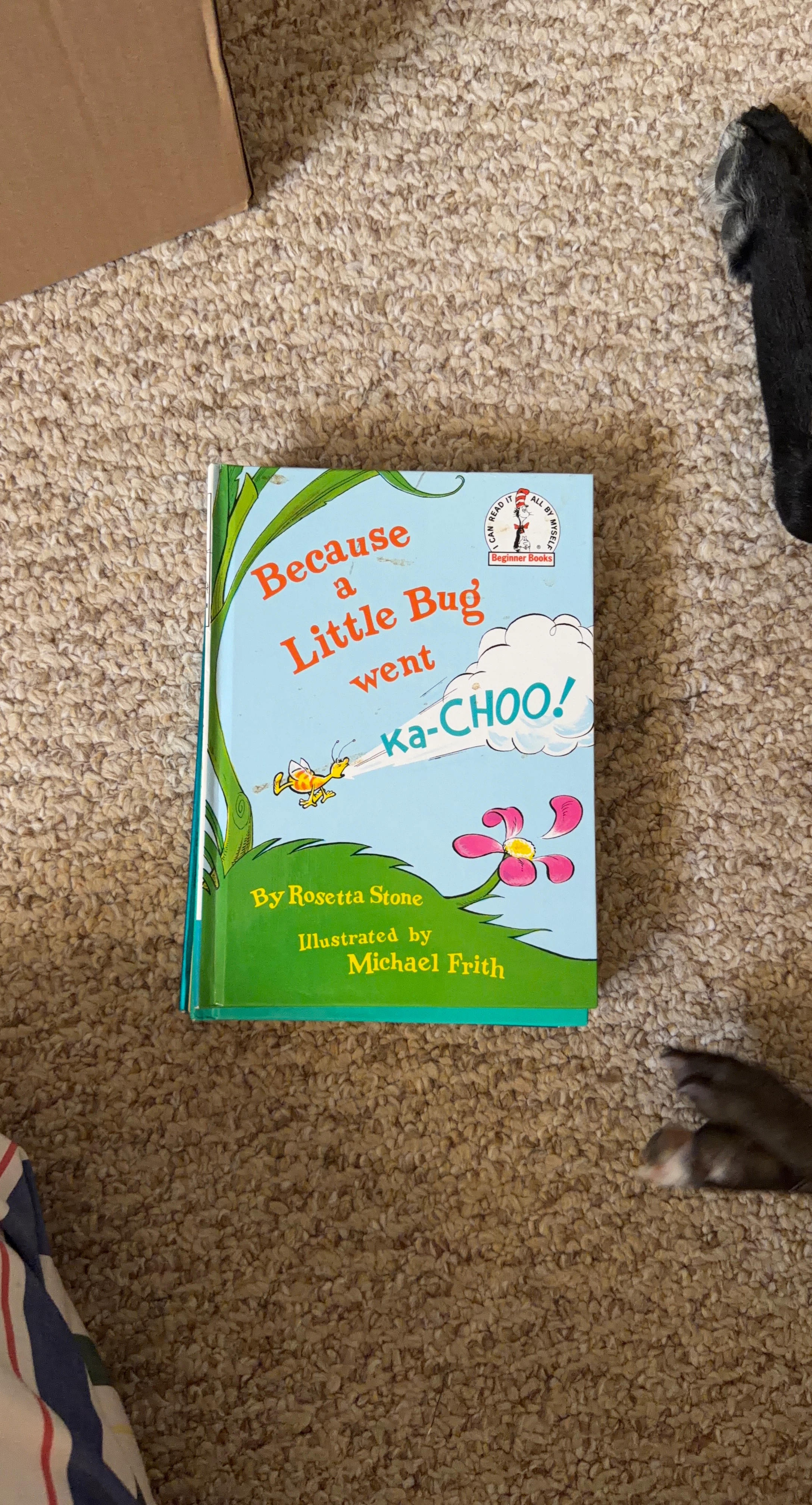 Because a Little Bug Went Ka-CHOO! Beginner Book