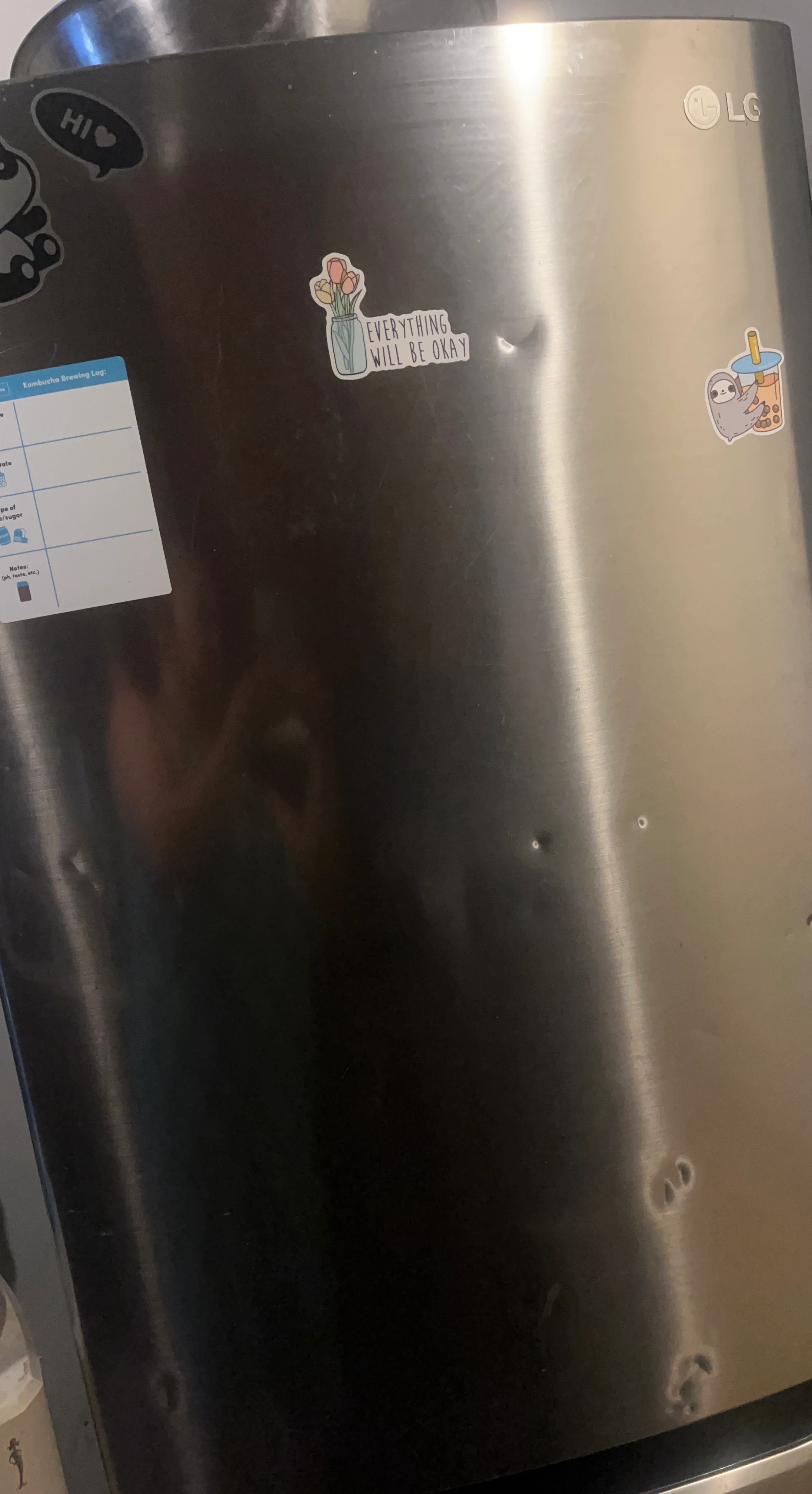 LG Stainless Steel Refrigerator