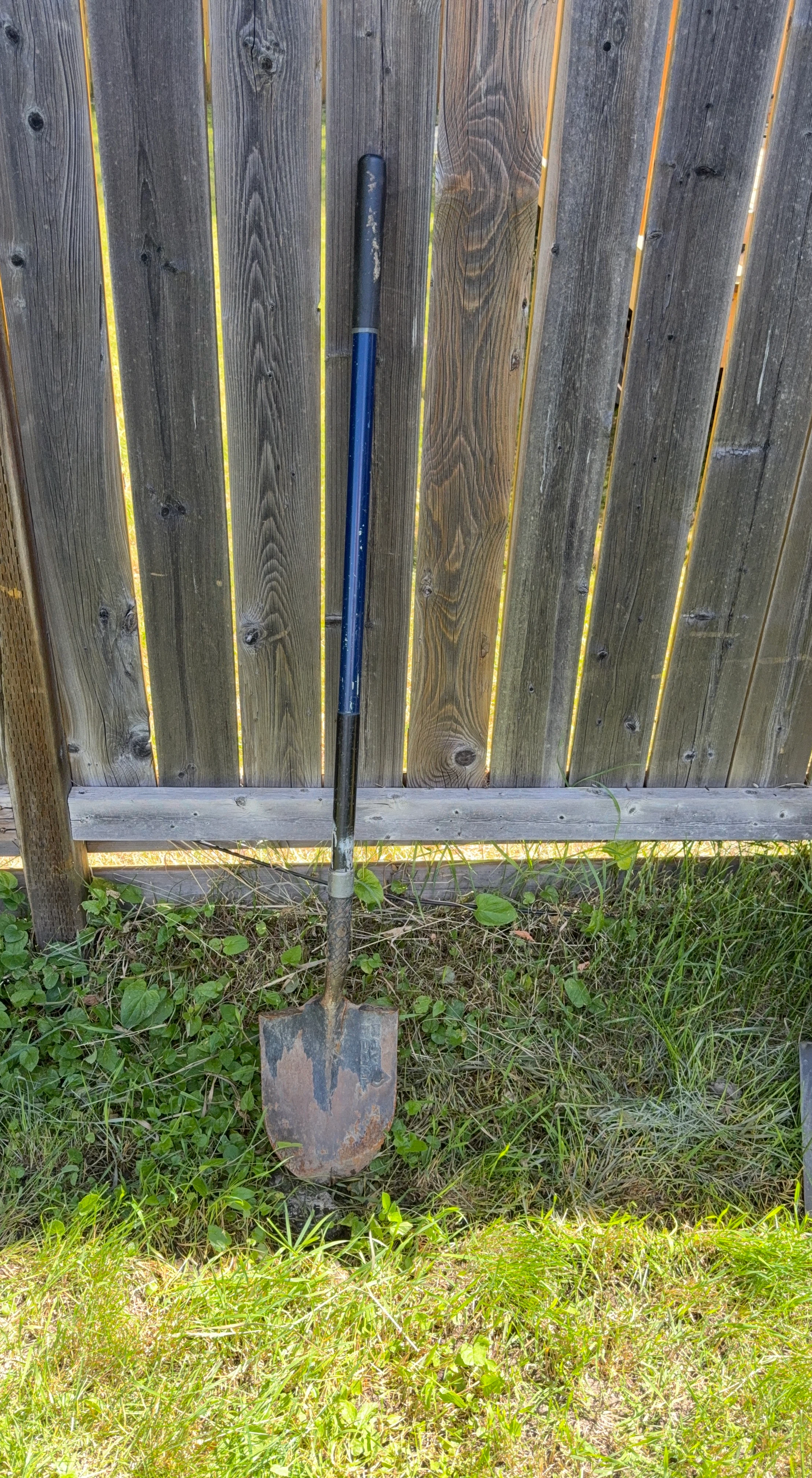 Spade Shovel with Blue Handle