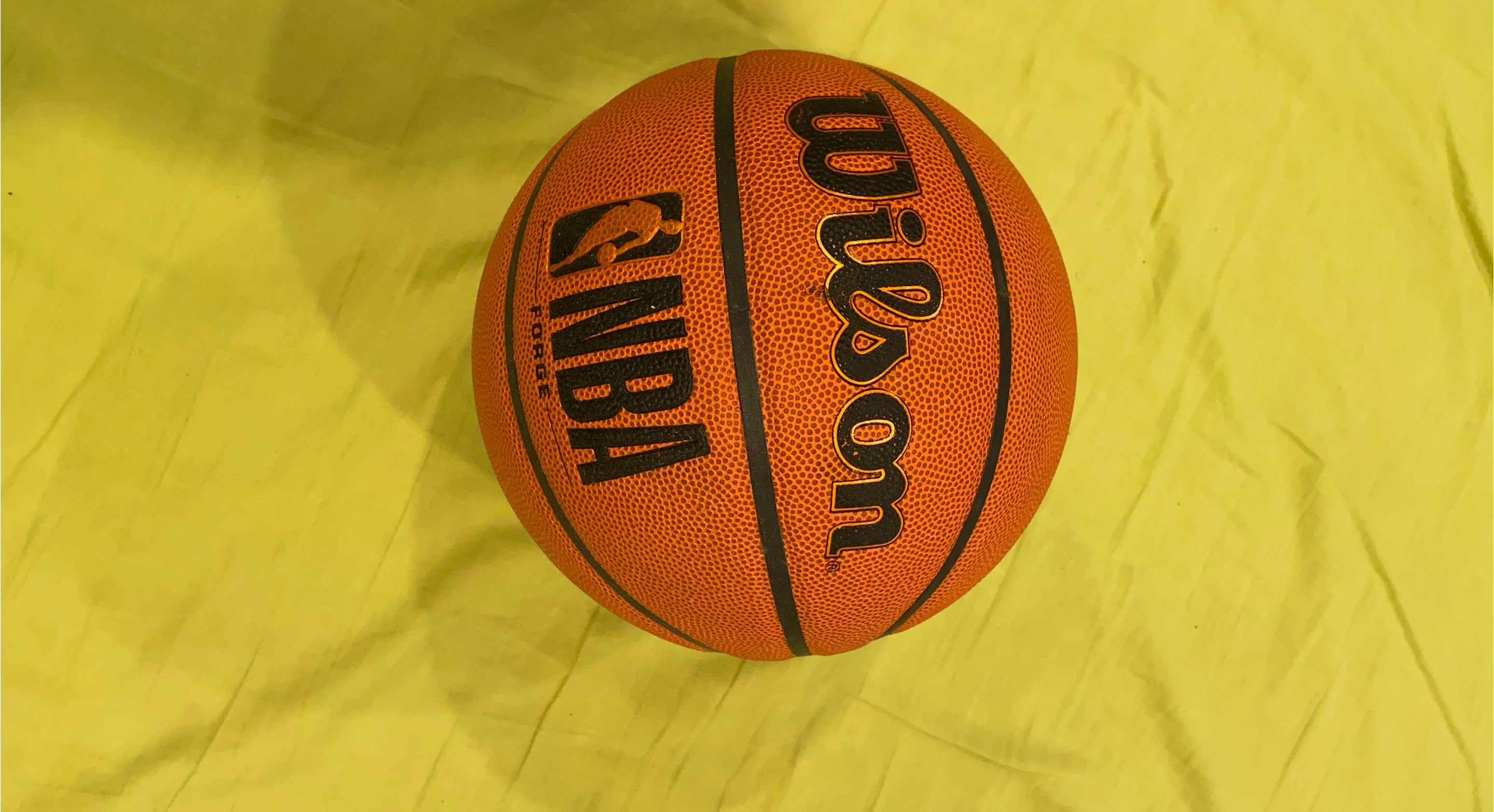 Wilson Forge NBA Basketball