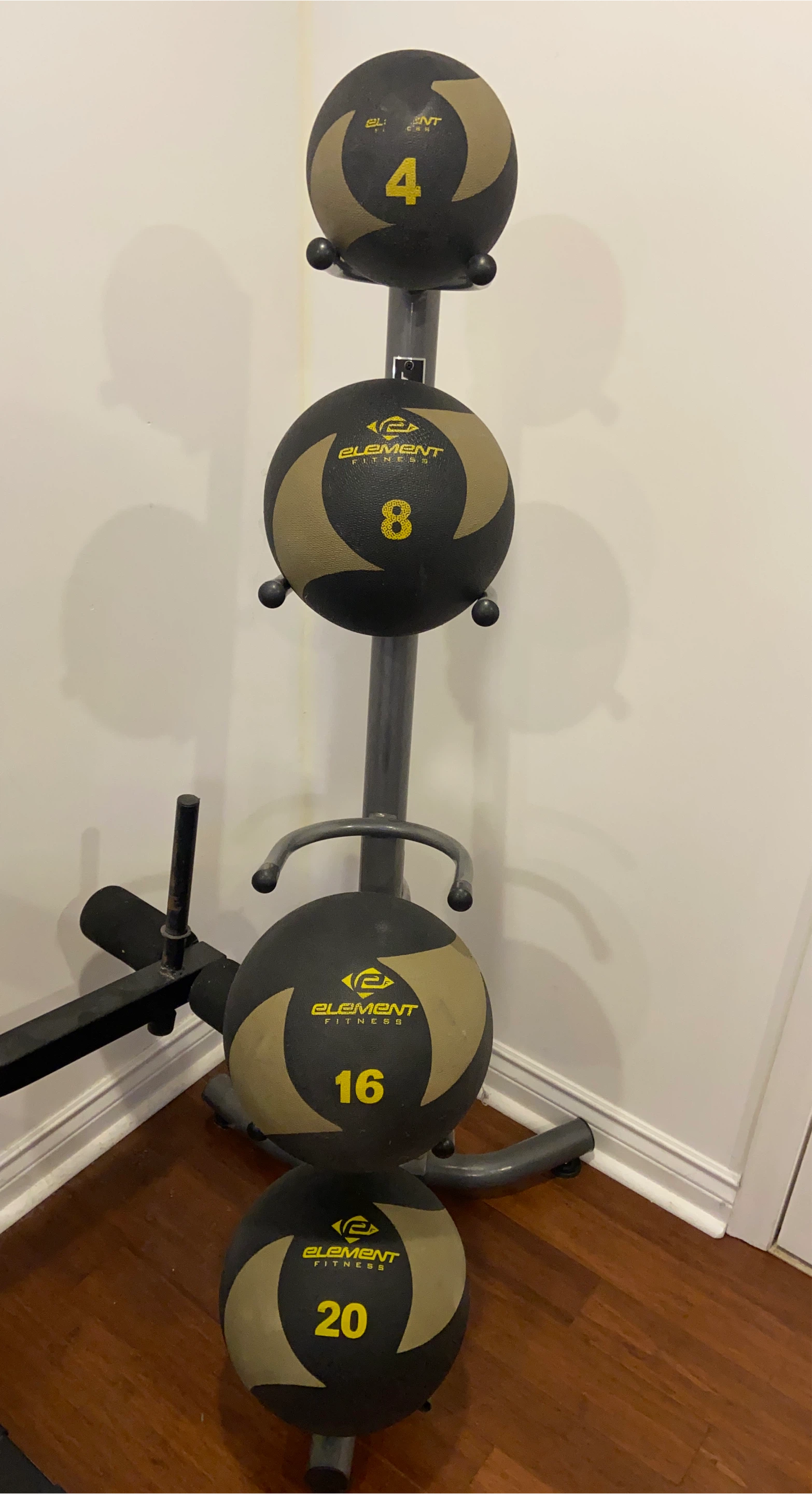 Element Fitness Medicine Ball Set with Rack