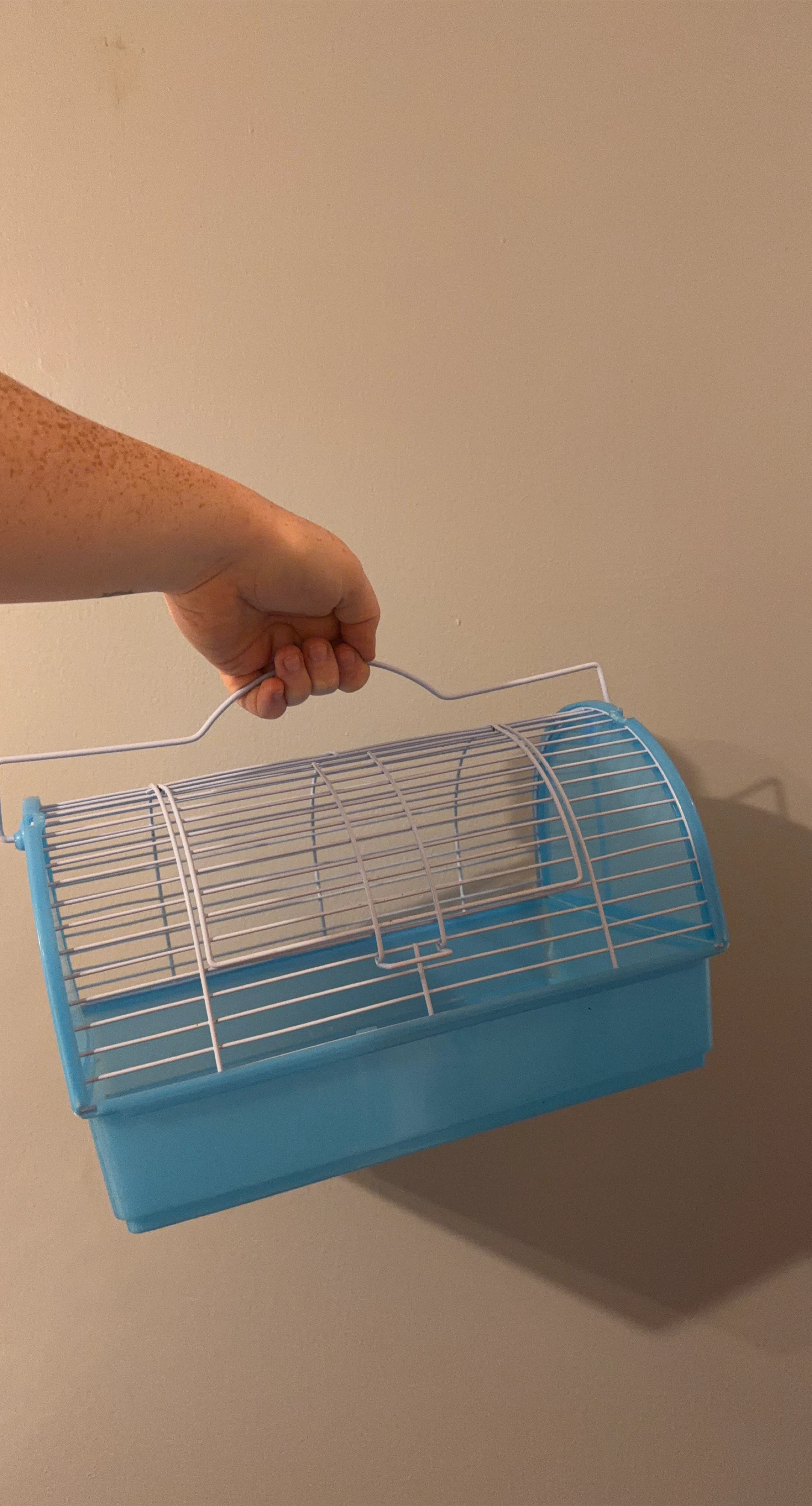 Blue Pet Carrier Cage