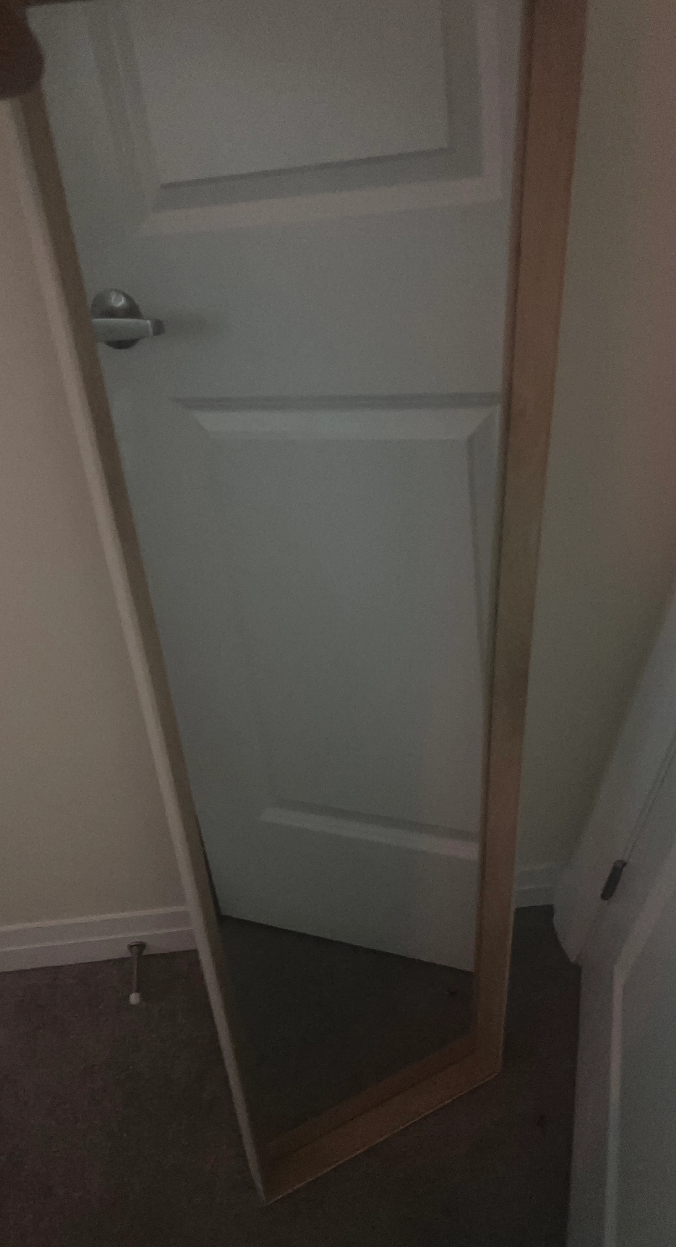 Wooden Framed Full Length Mirror