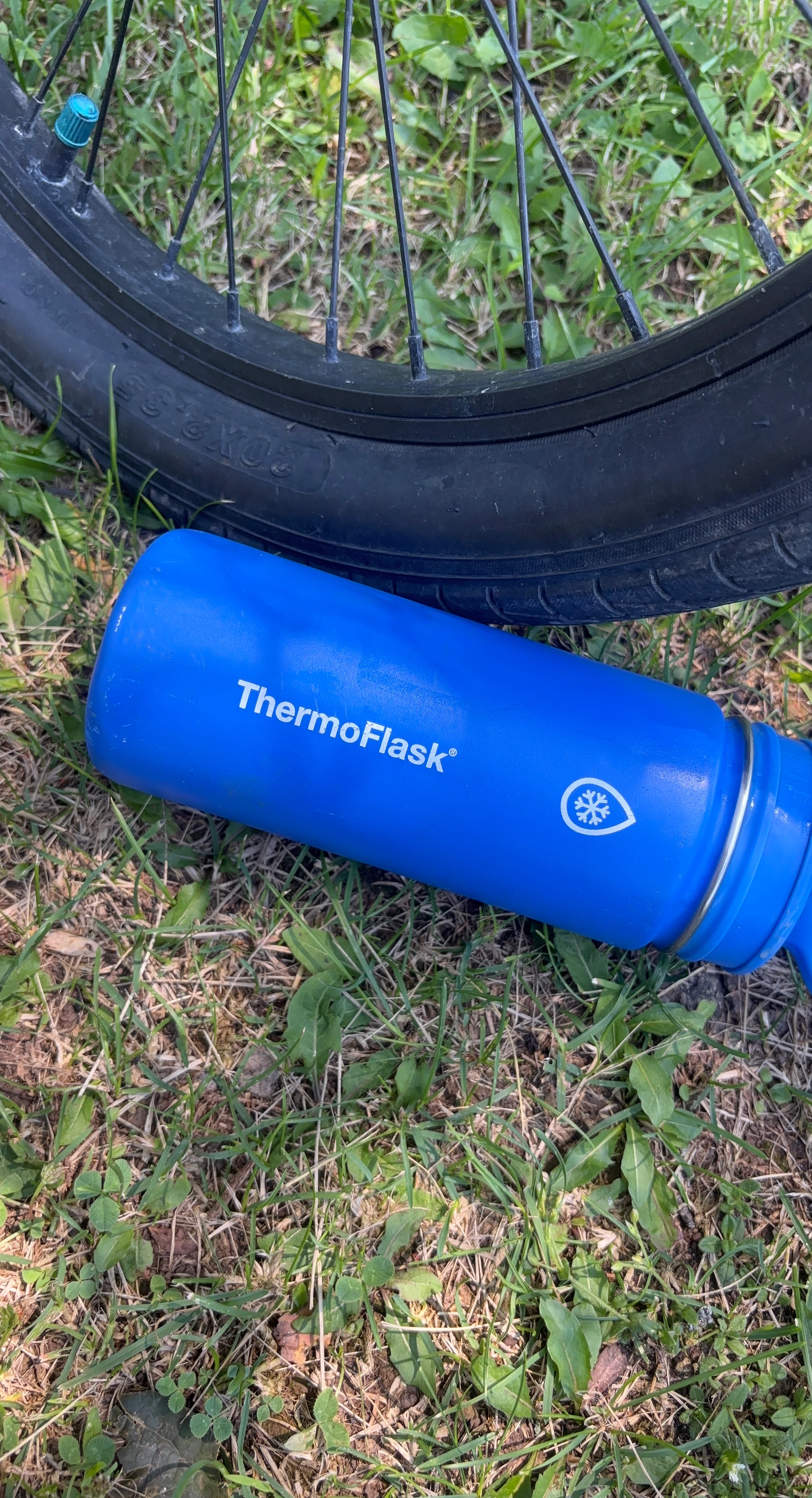 Blue ThermoFlask Water Bottle