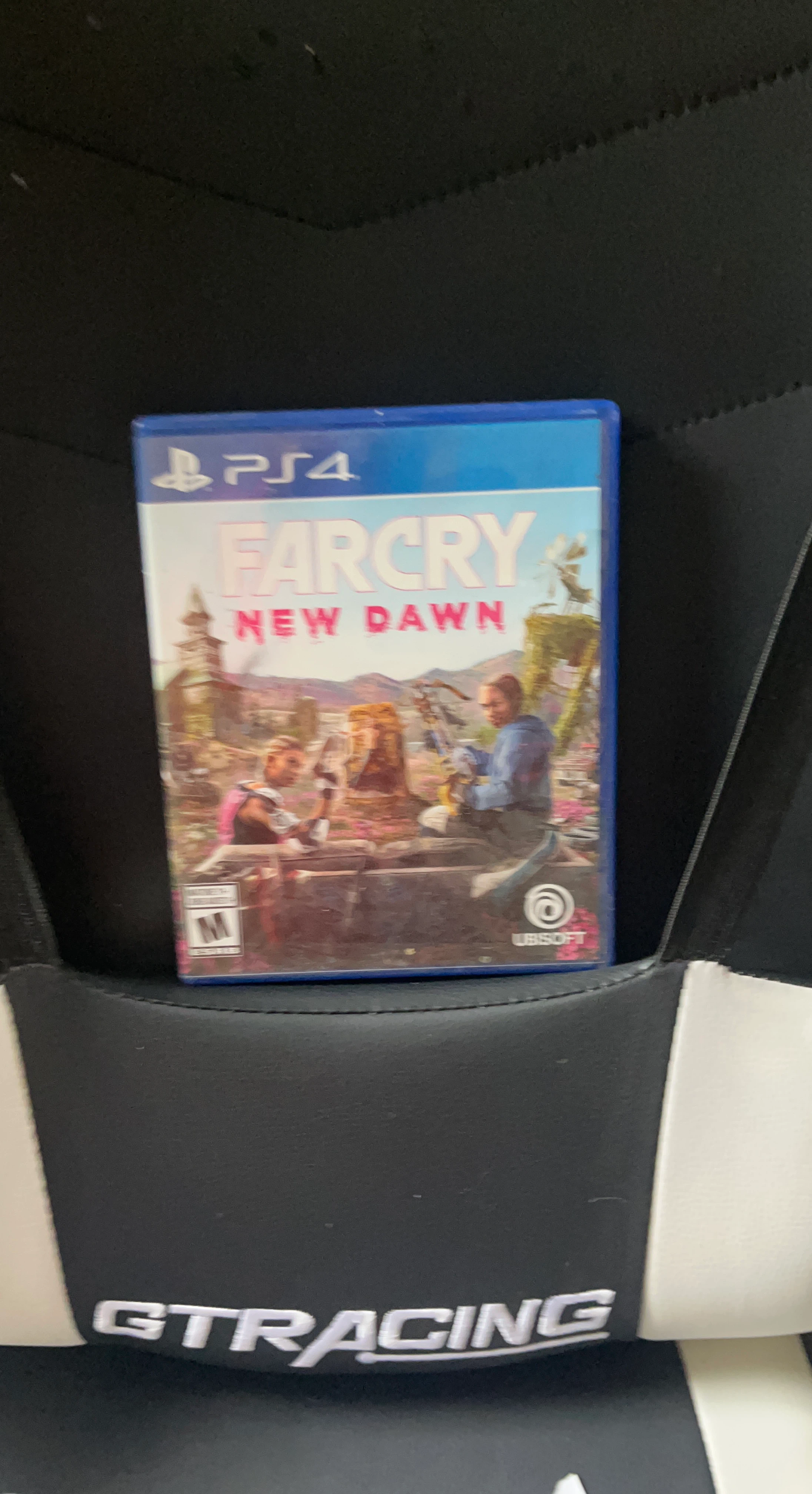 Far Cry New Dawn PS4 Game