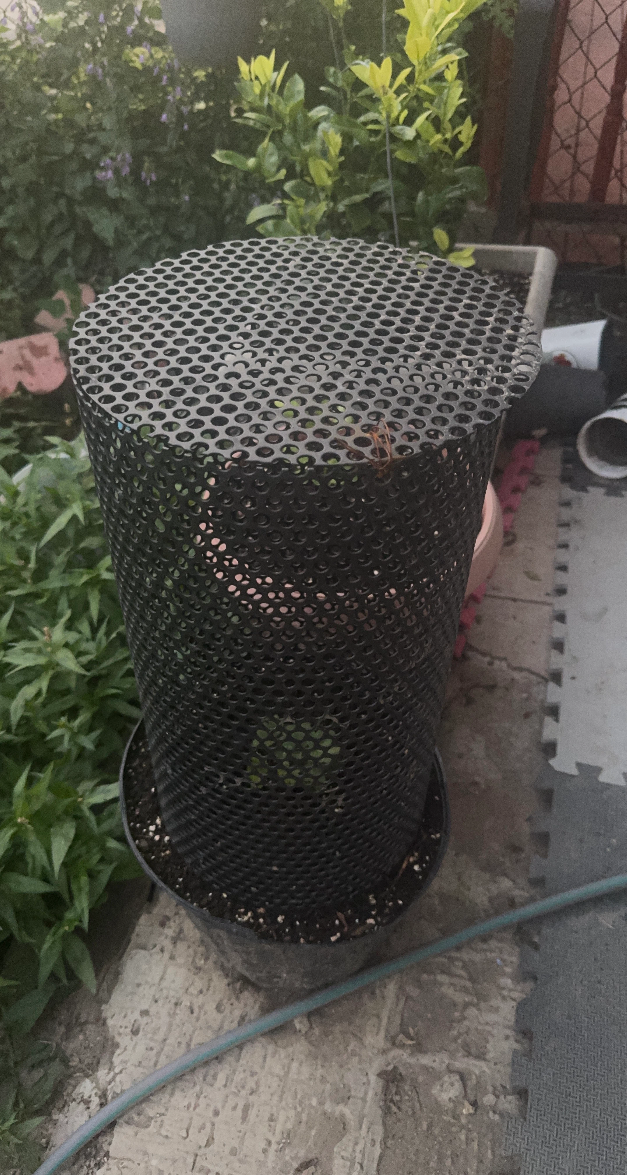 Black Mesh Planter Protector