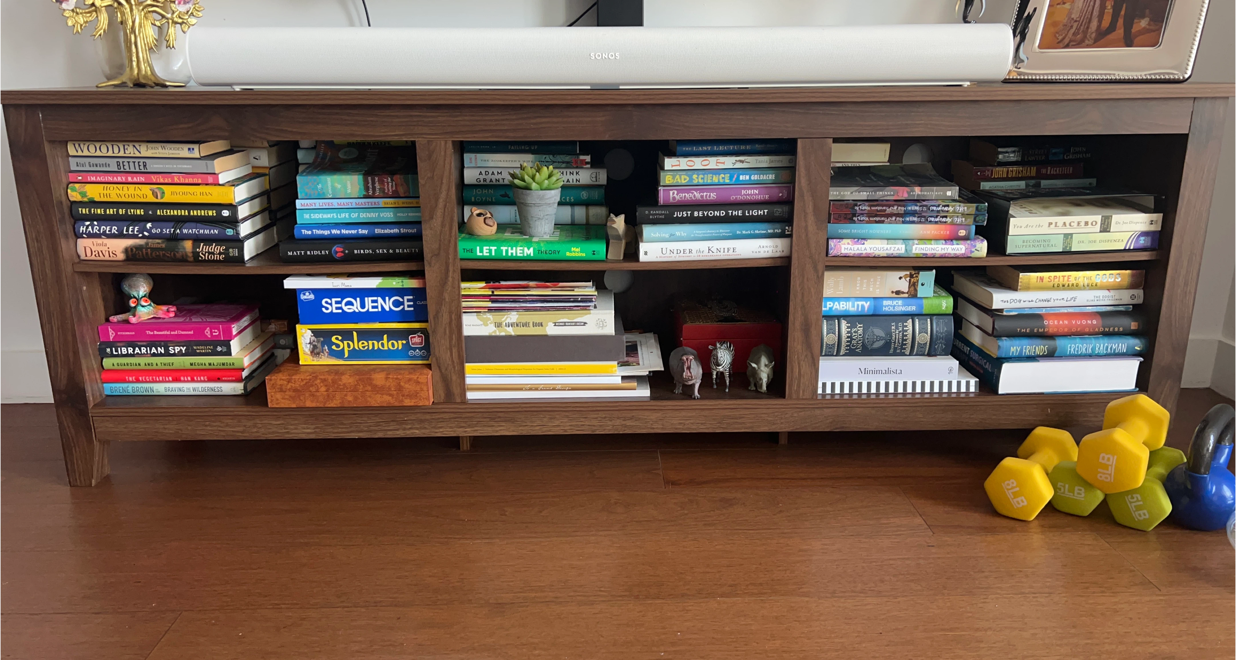 TV console with storage space