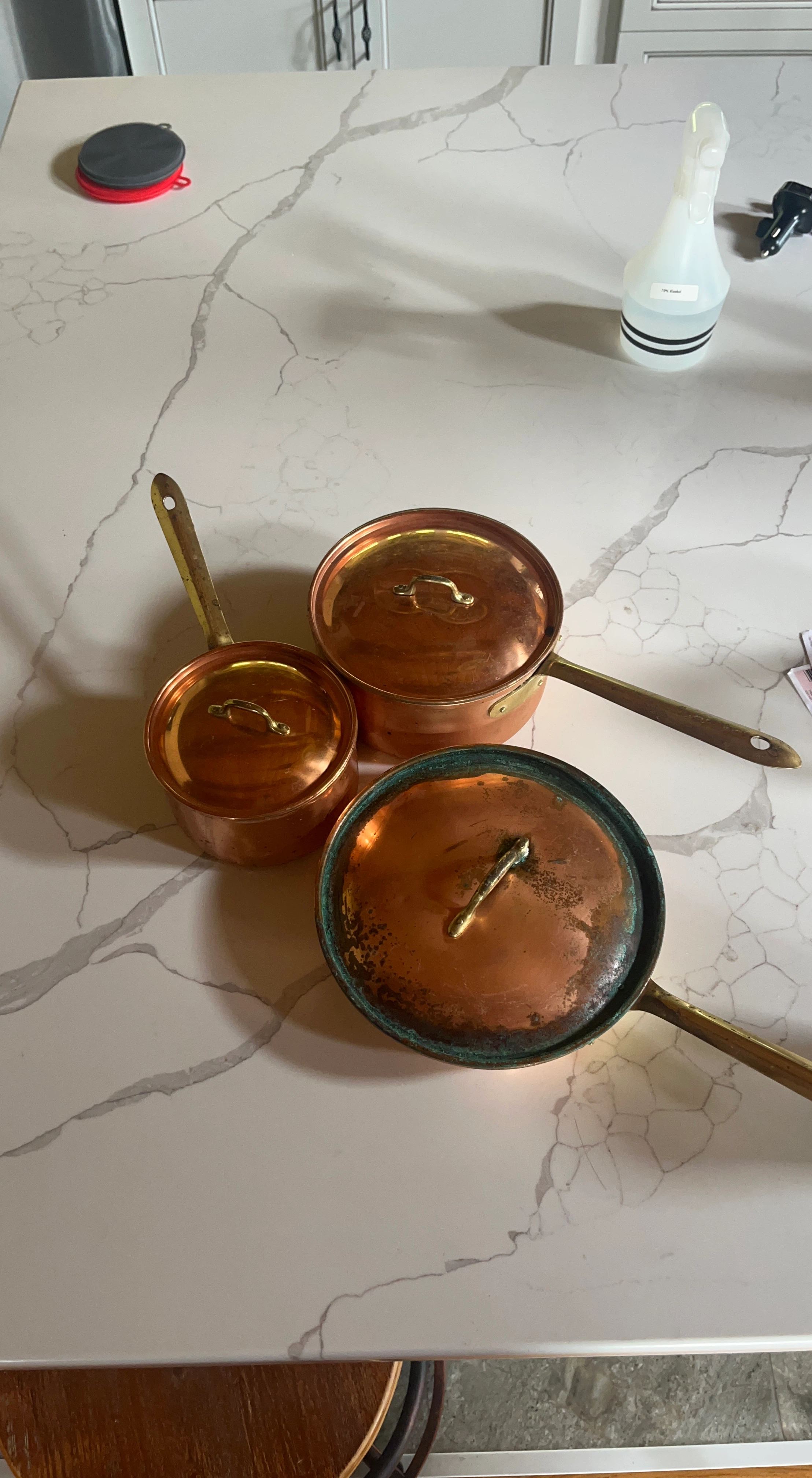 Tagus Vintage Copper Pot Set with Lids