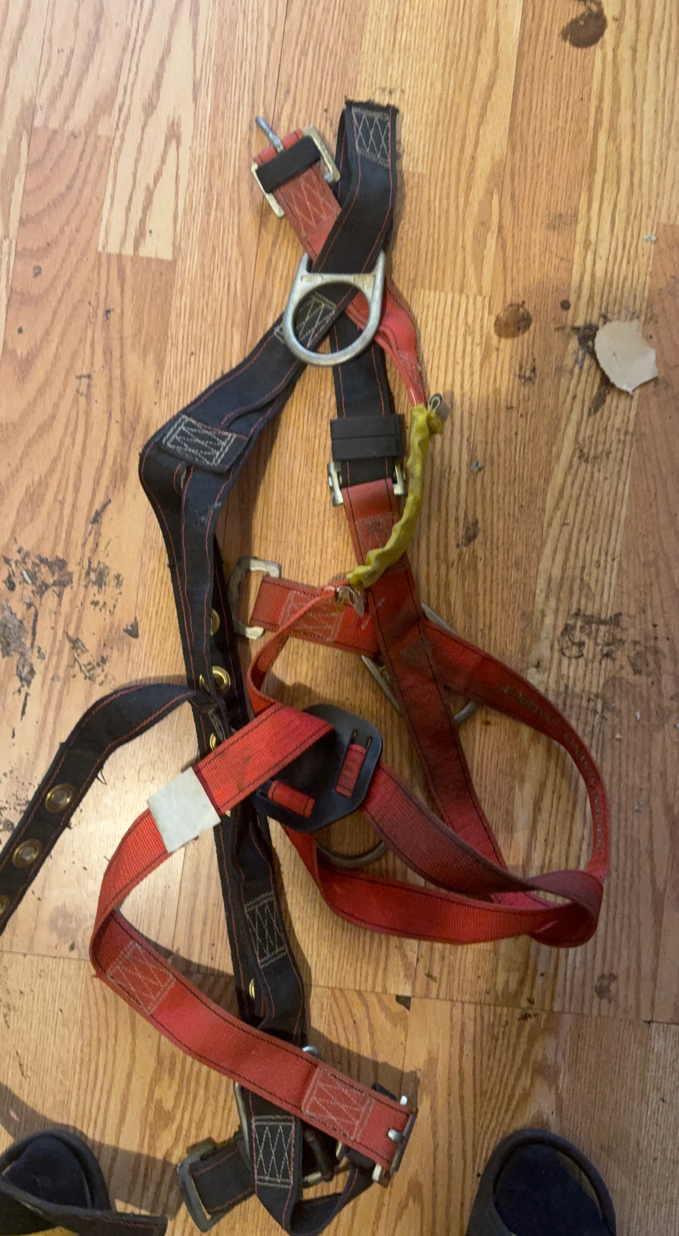 Red and Black Safety Harness