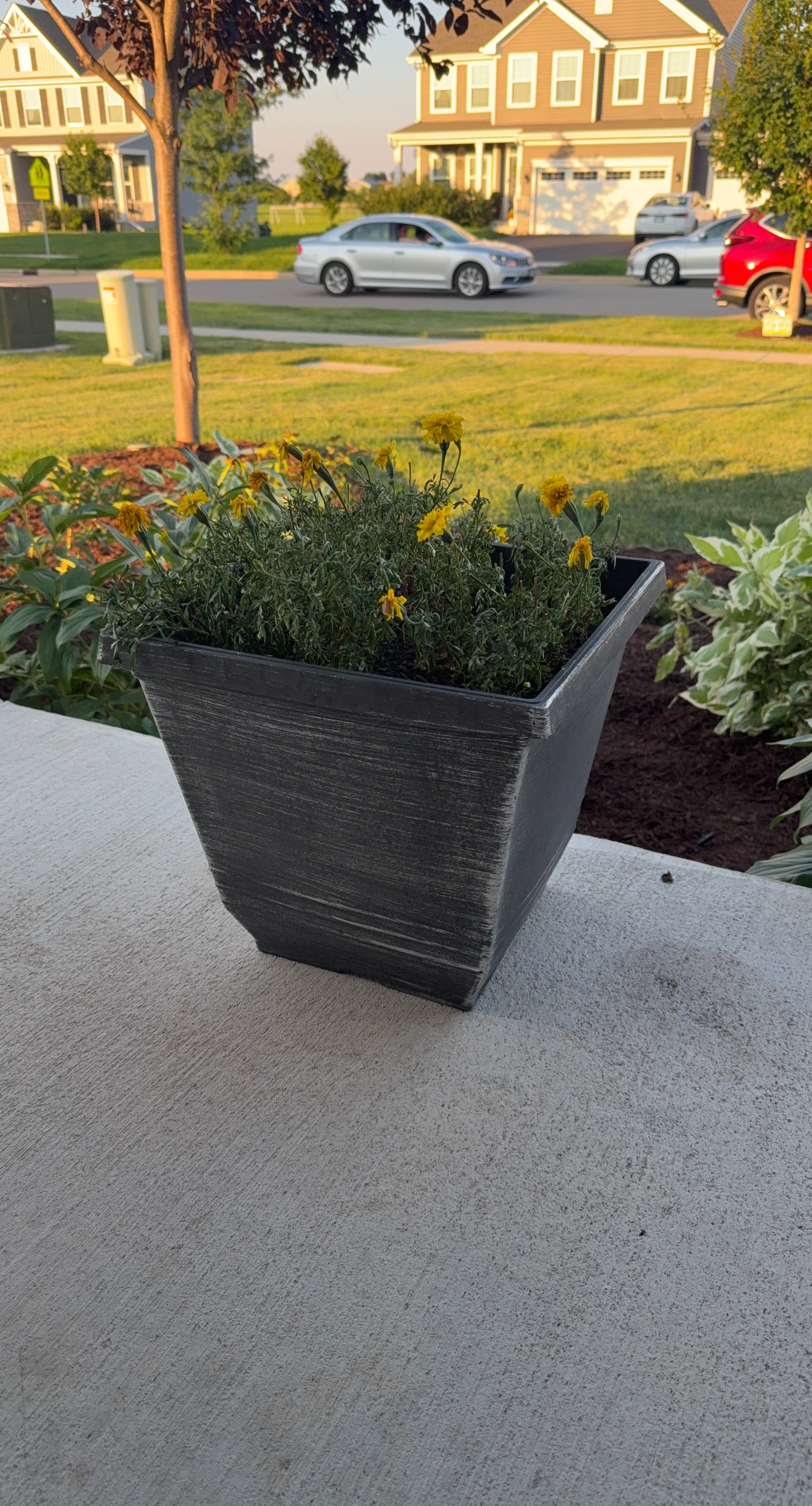 Square Planter Pot
