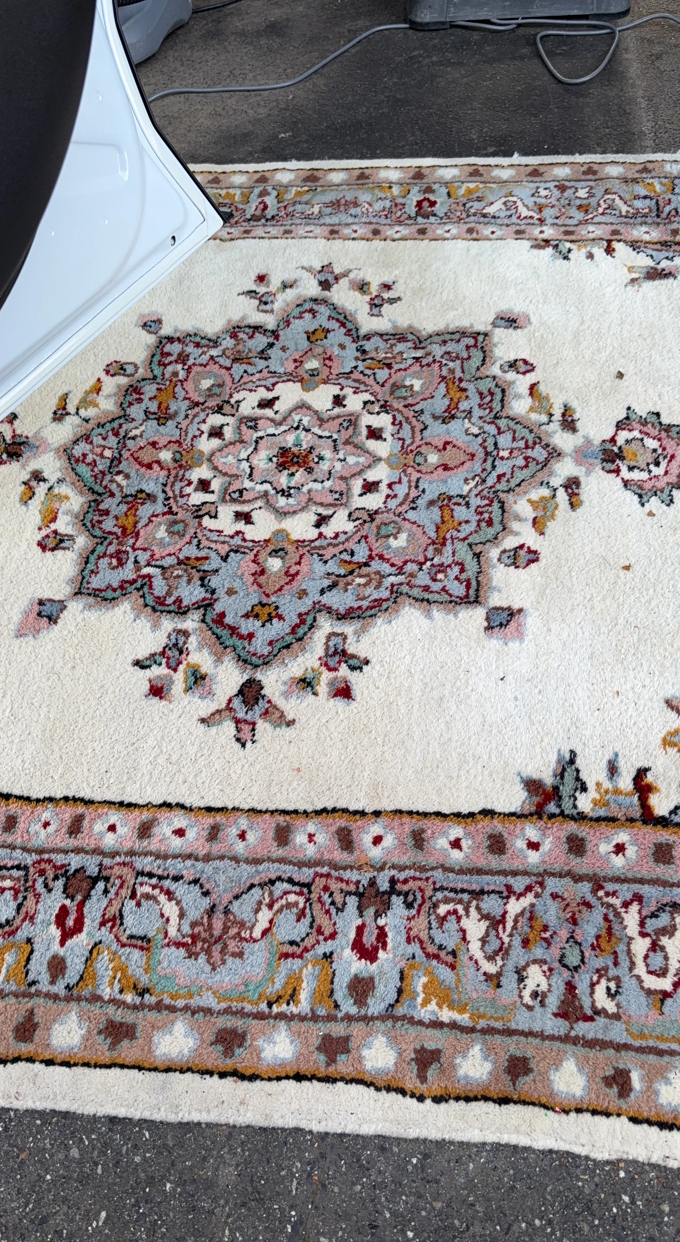 Persian Style  Wool Area Rug