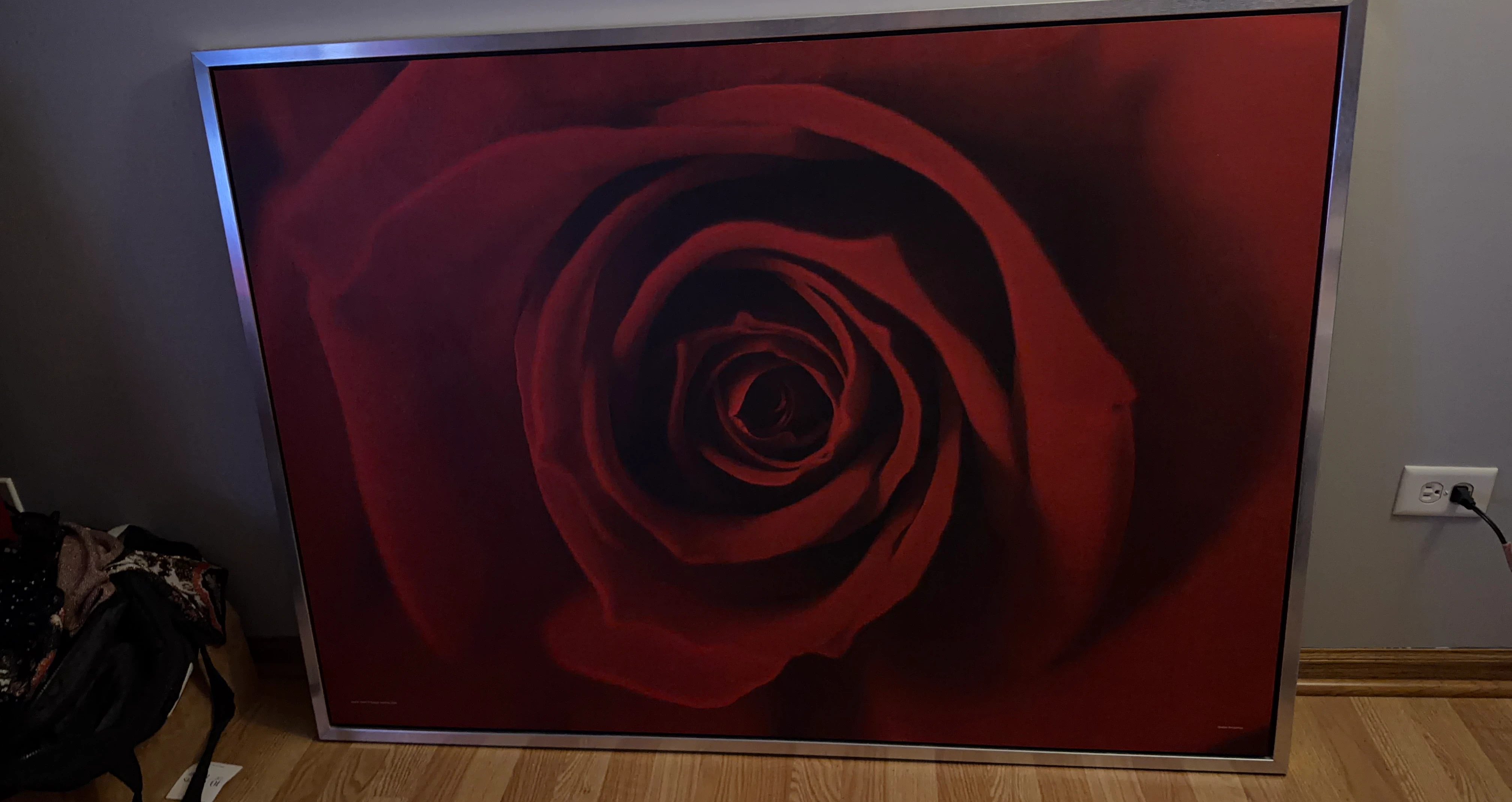 Large Framed Red Rose Wall Art