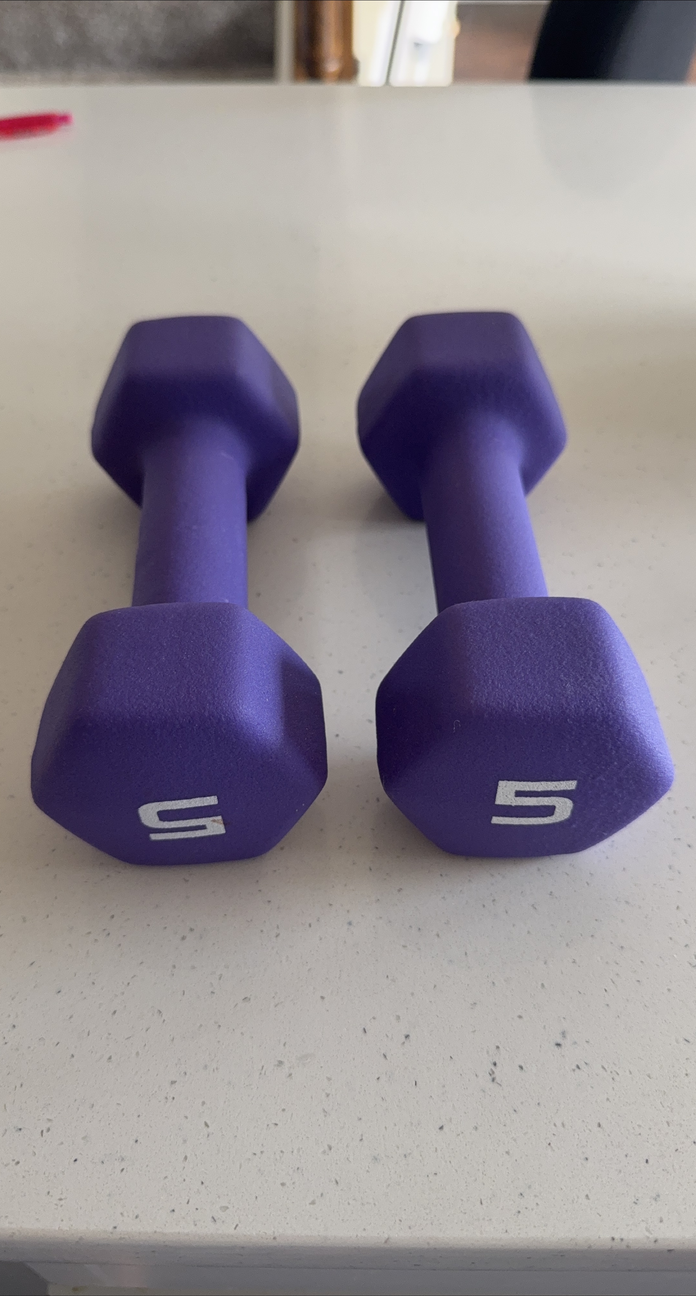 Pair of 5lb Dumbbells