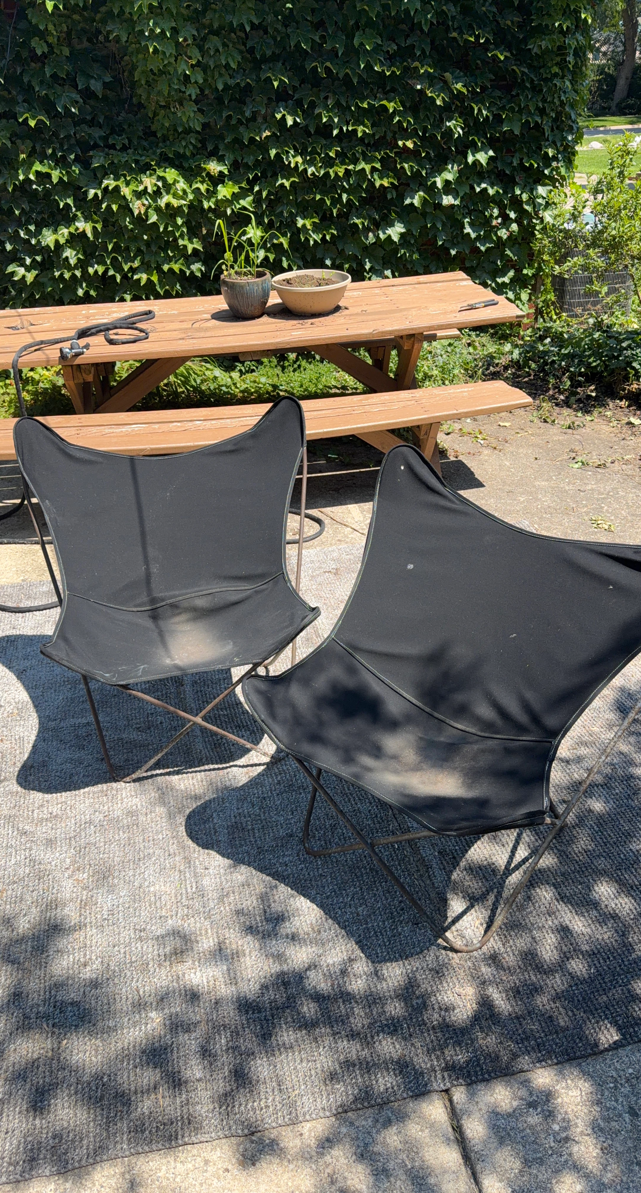 Black Butterfly Chairs (Set of 2)