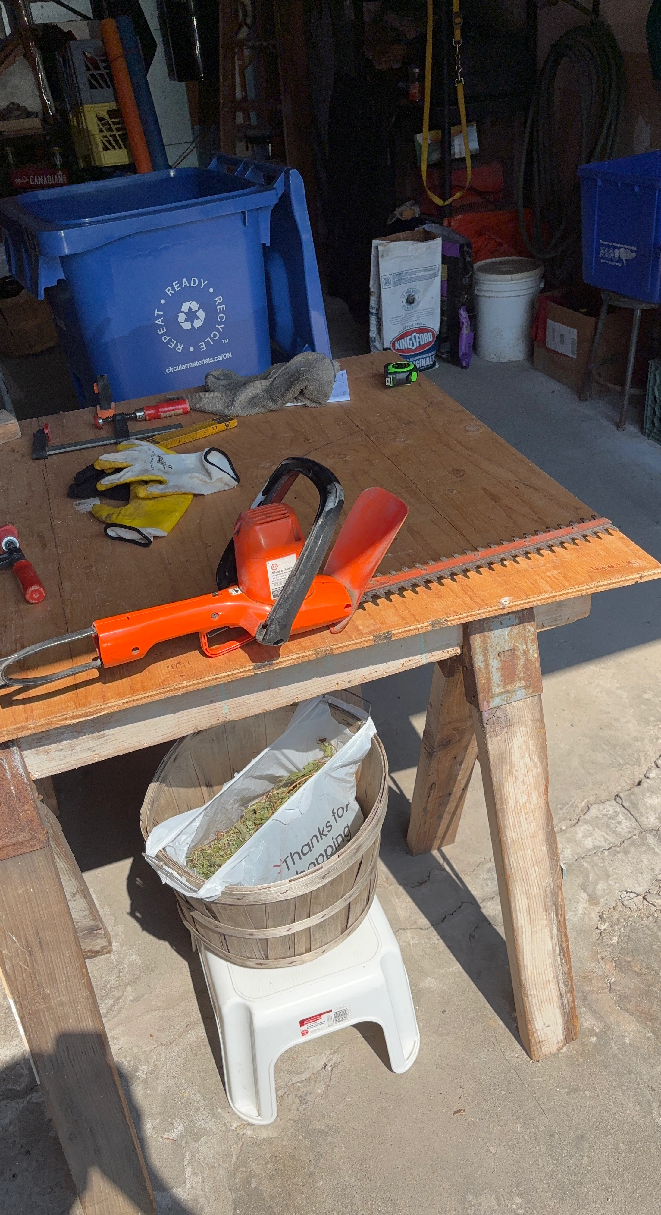 Black & Decker Electric Hedge Trimmer