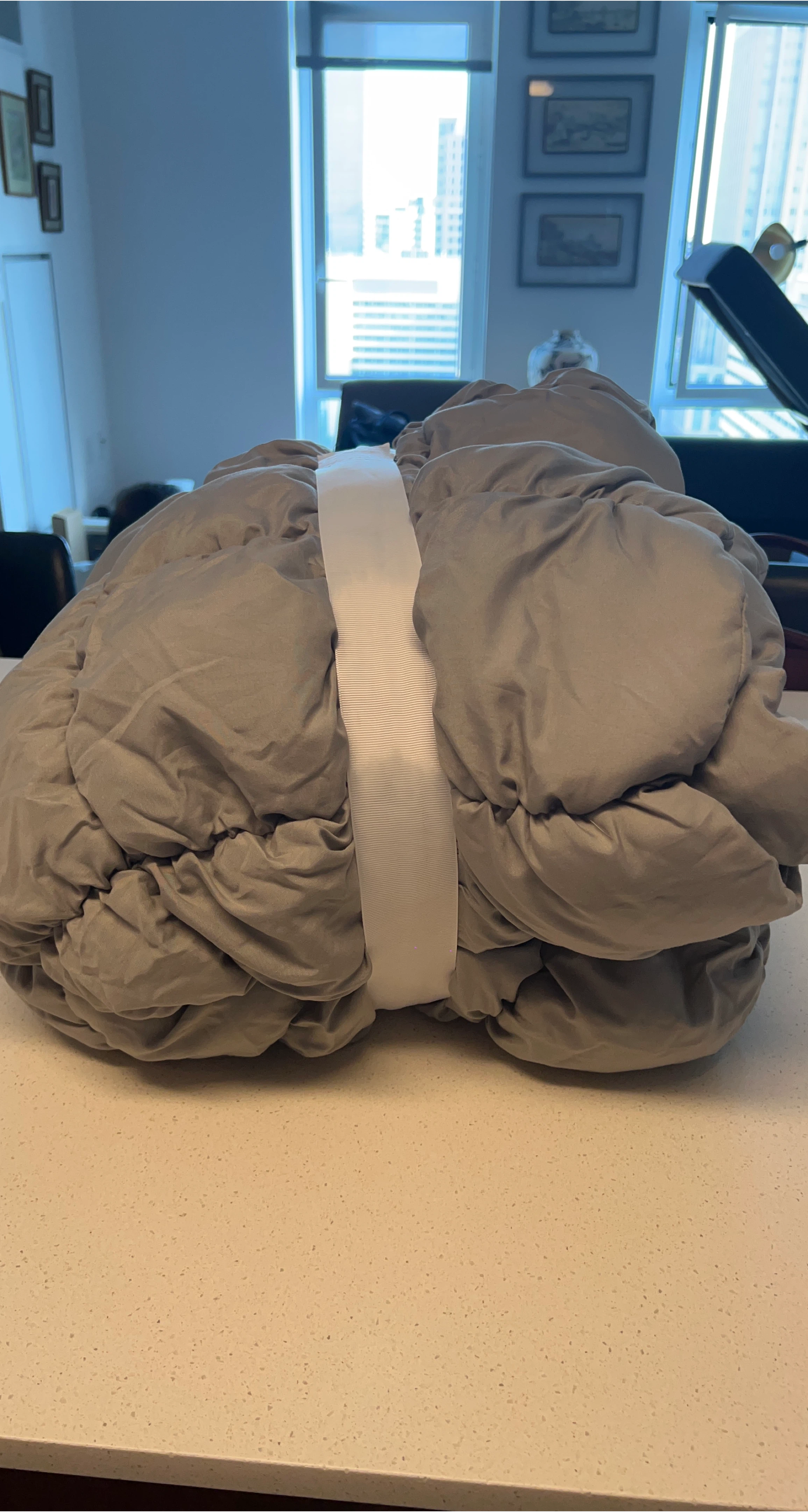 Gray Down Comforter