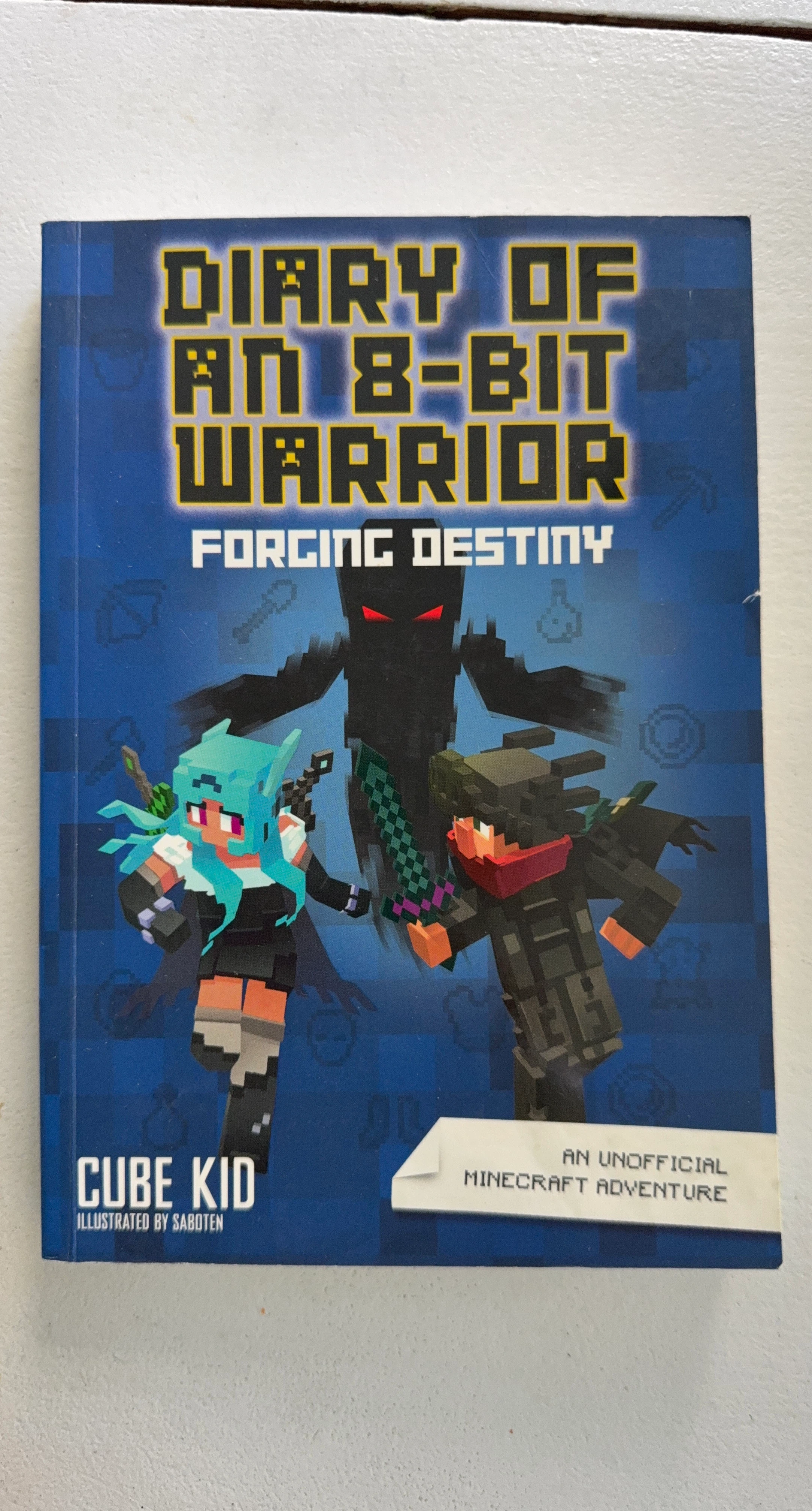 Diary of an 8-Bit Warrior: Forging Destiny Book
