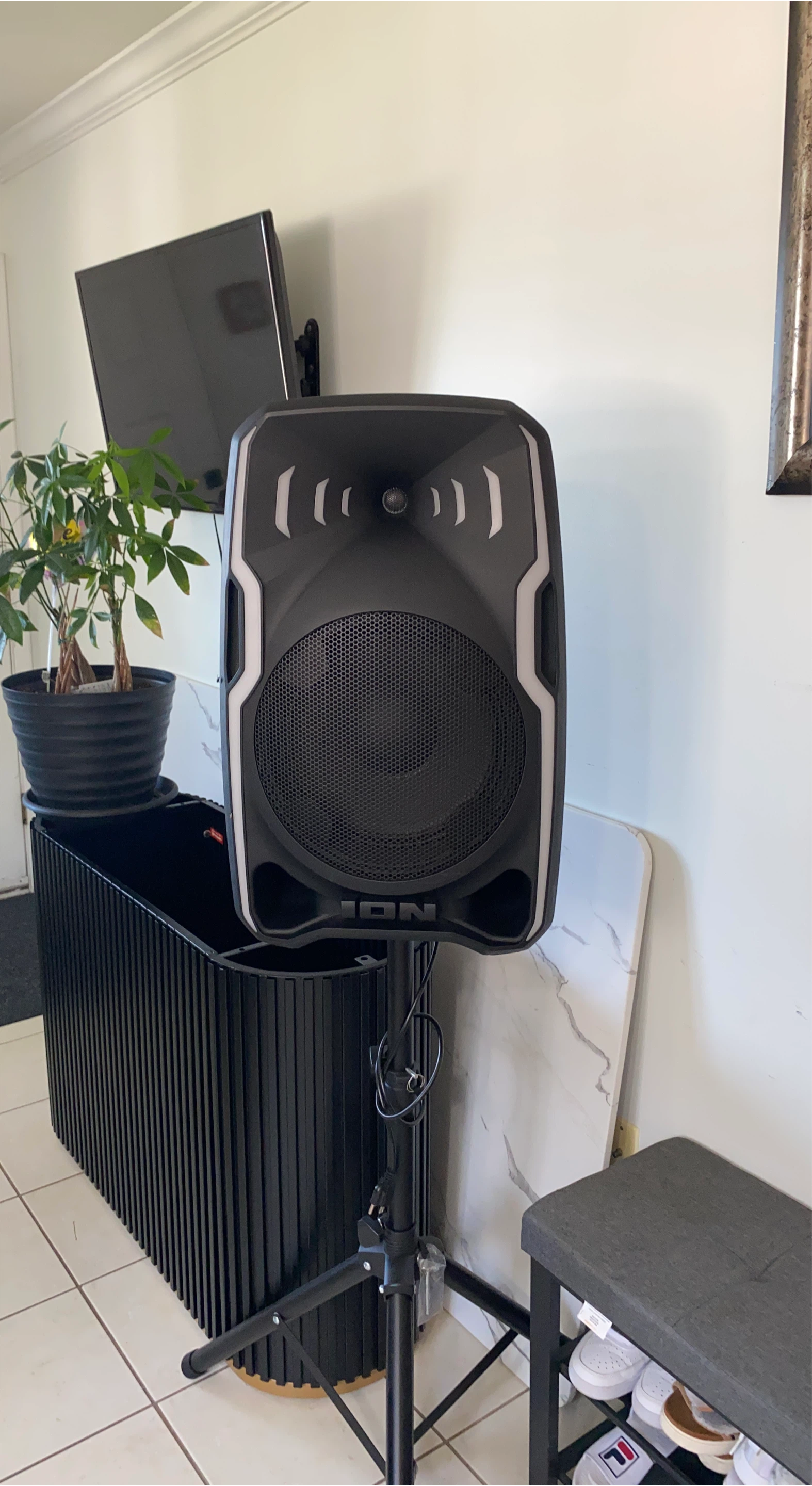 ION Portable Speaker