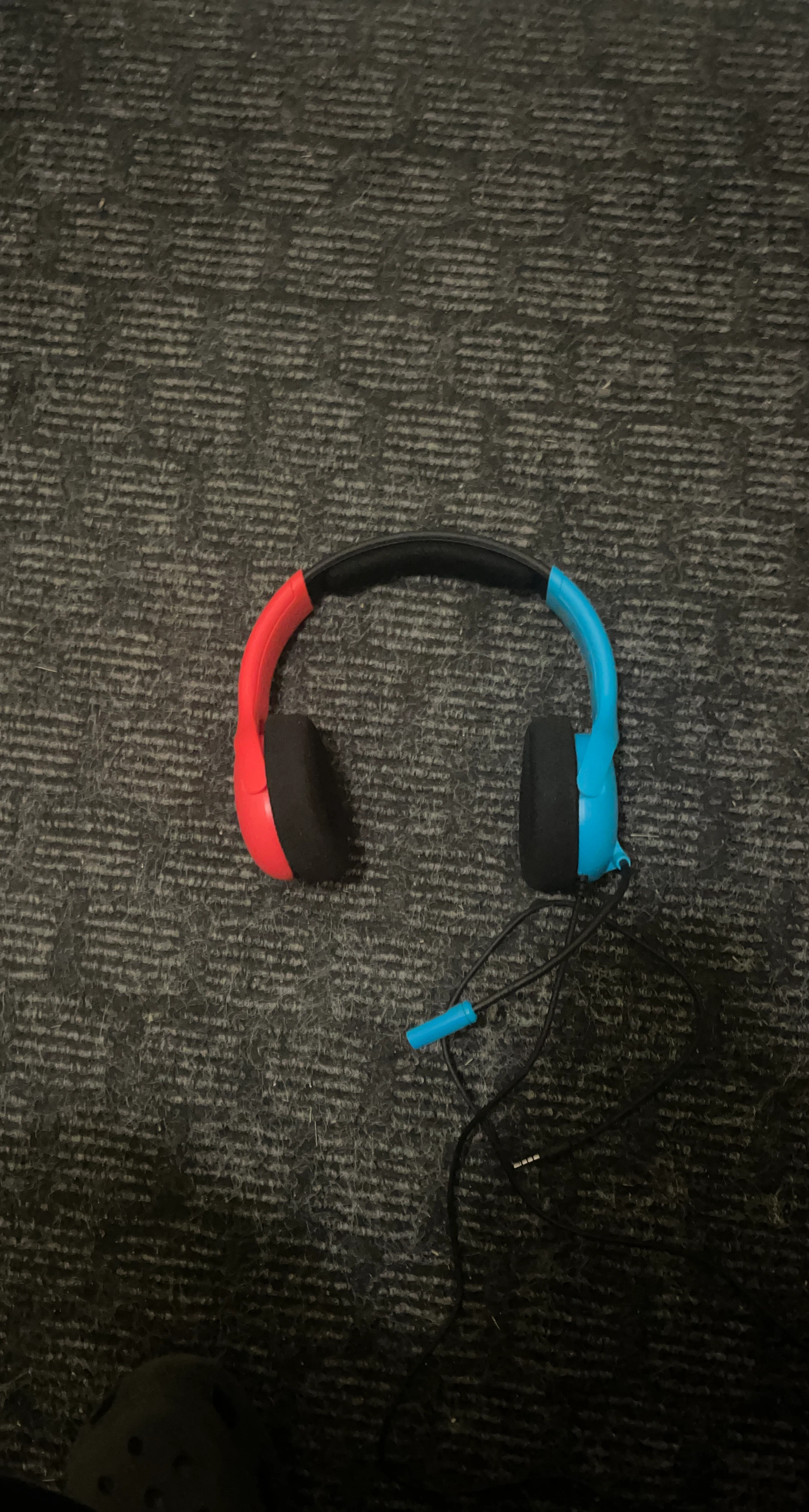 Nintendo Switch Headphones with Mic