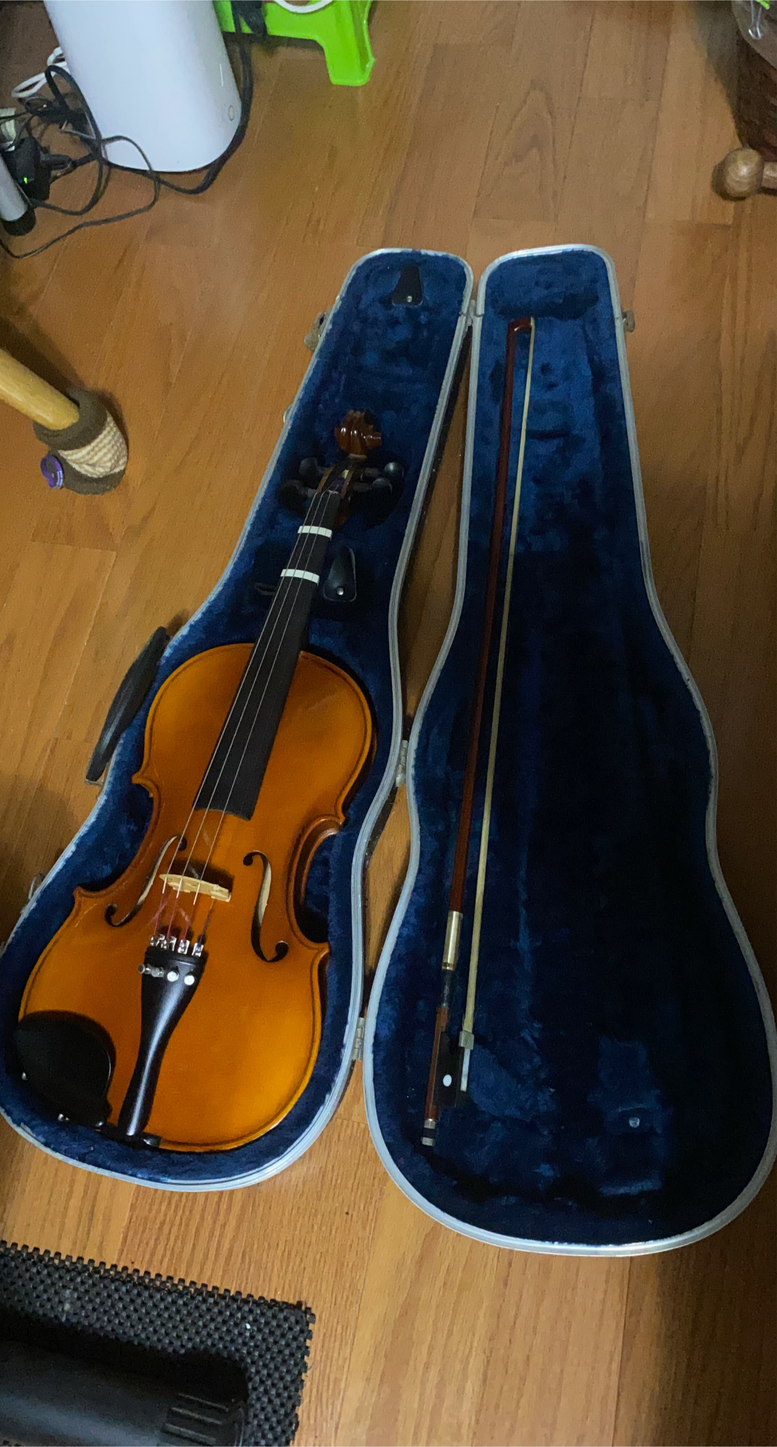 Violin with Case and Bow