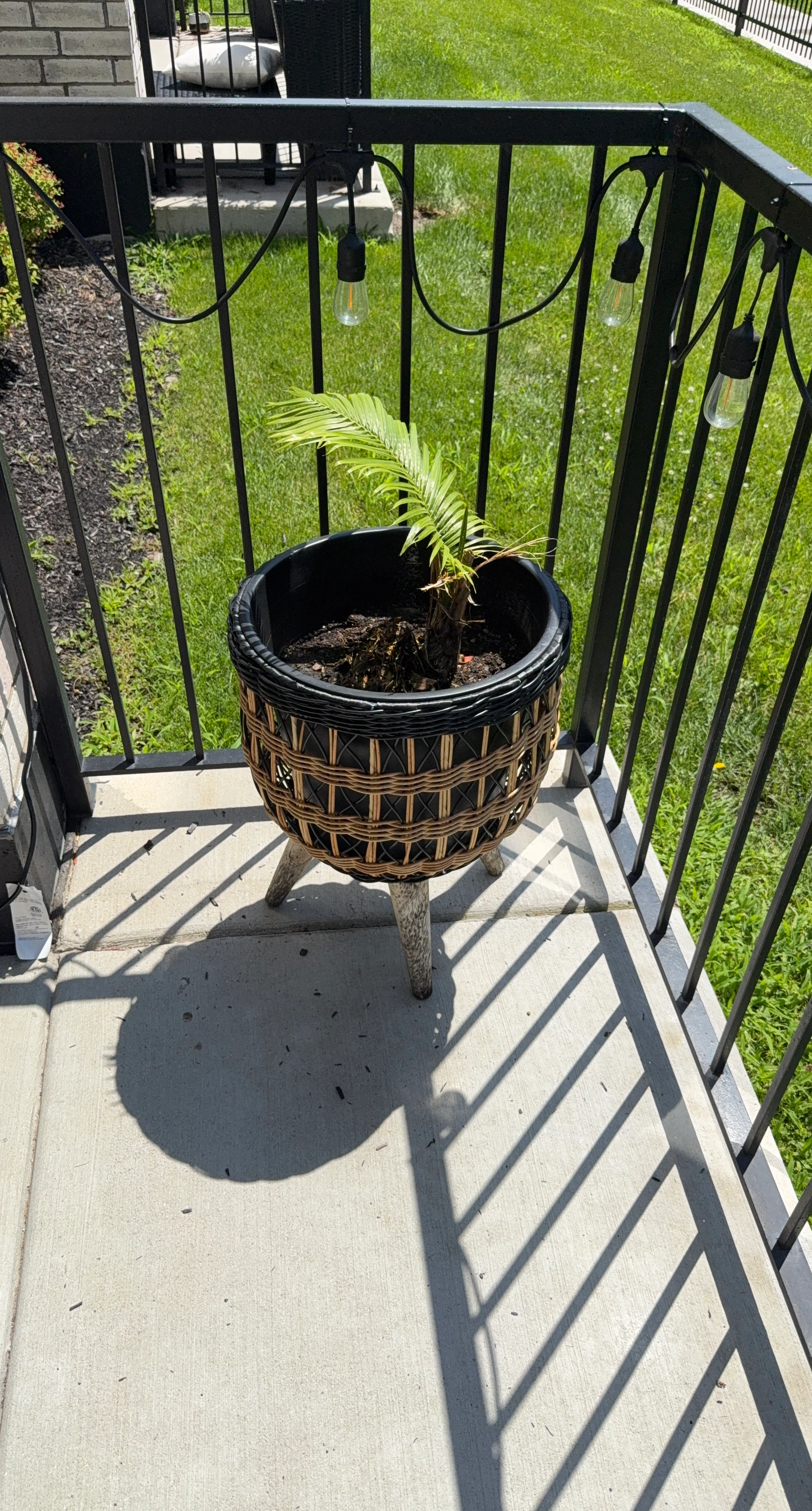Wicker Planter with Stand