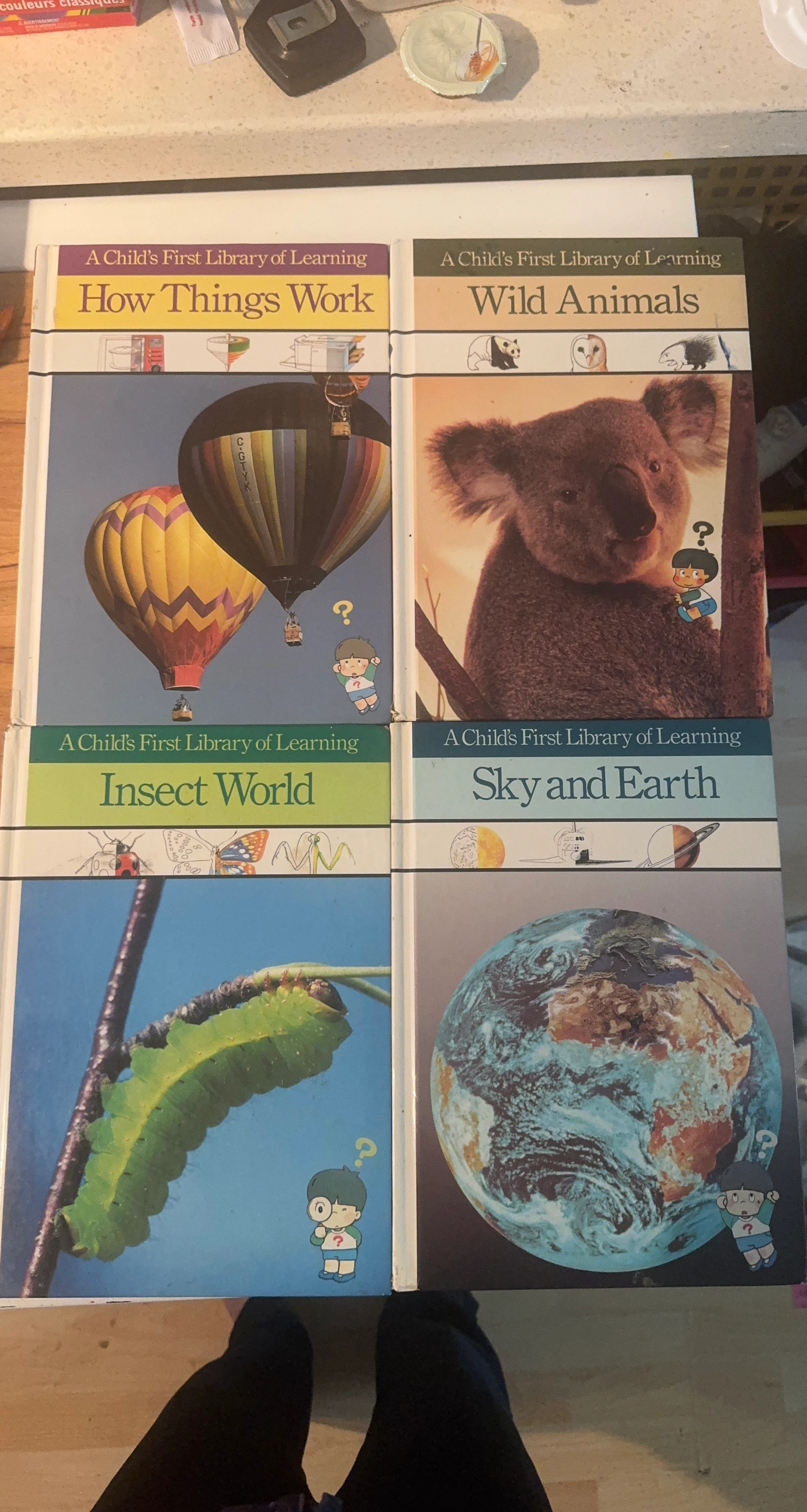 A Child's First Library of Learning Book Set