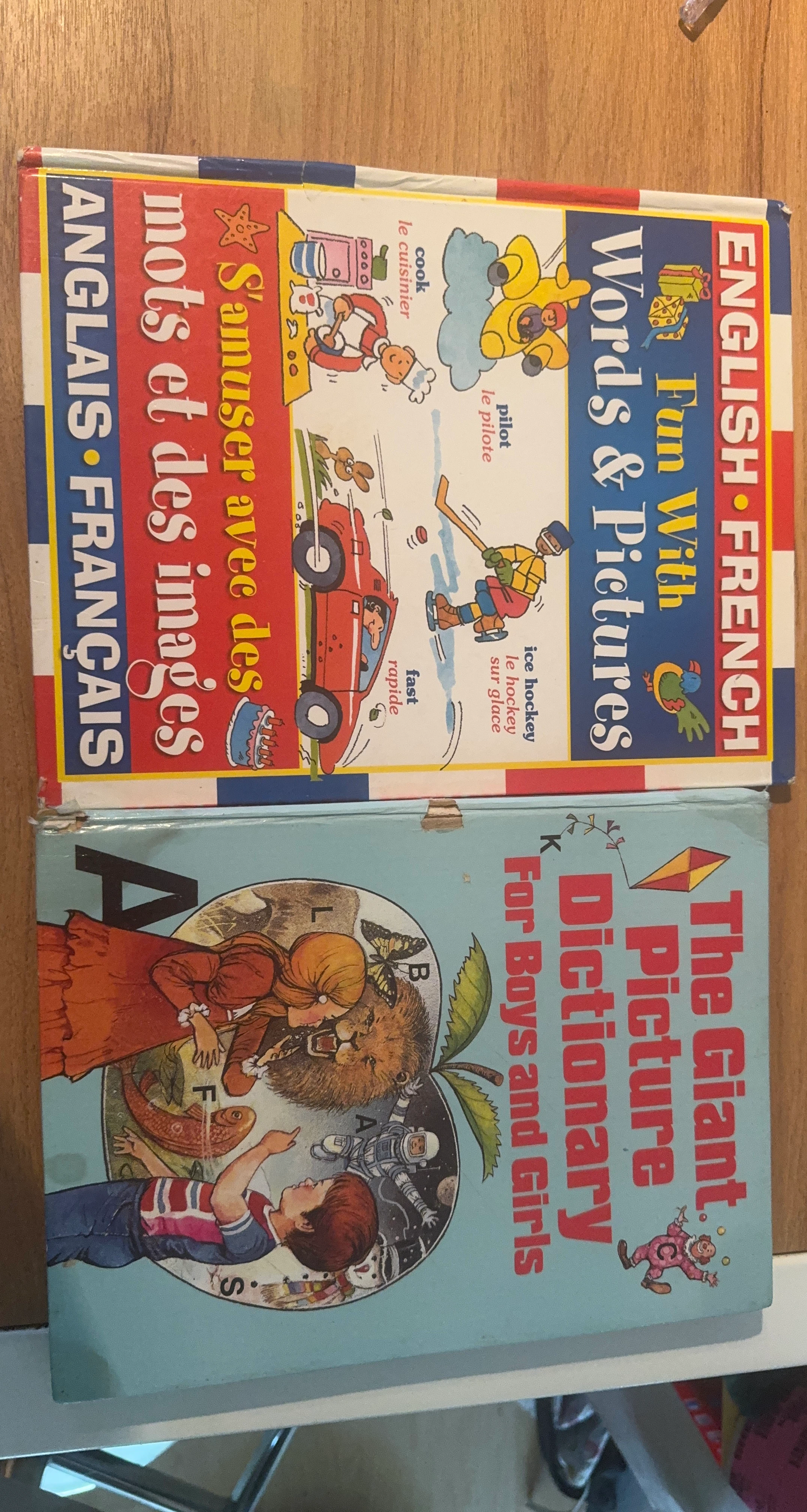 English French Fun With Words & Pictures Picture Dictionary