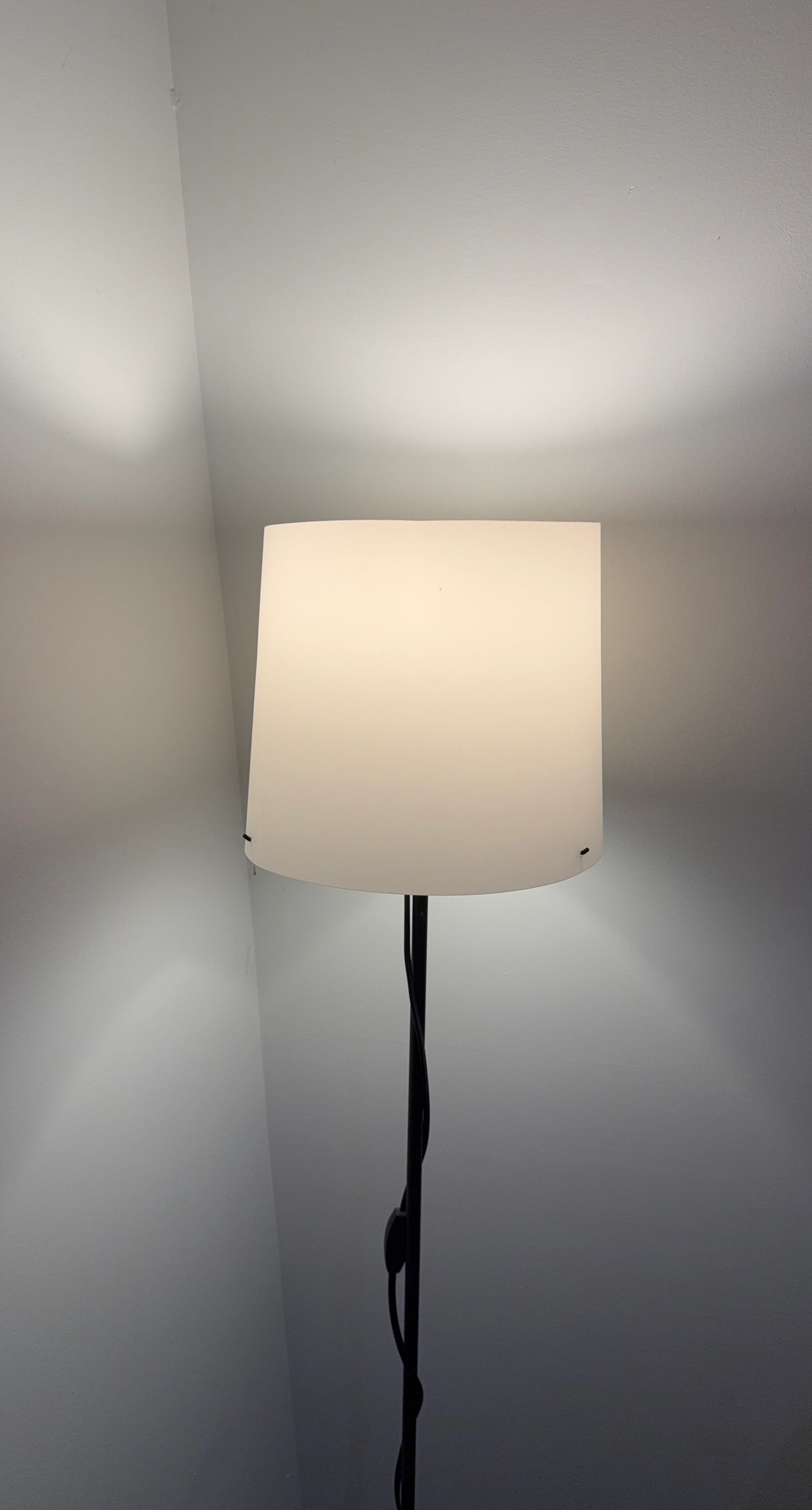 Black Floor Lamp with White Shade