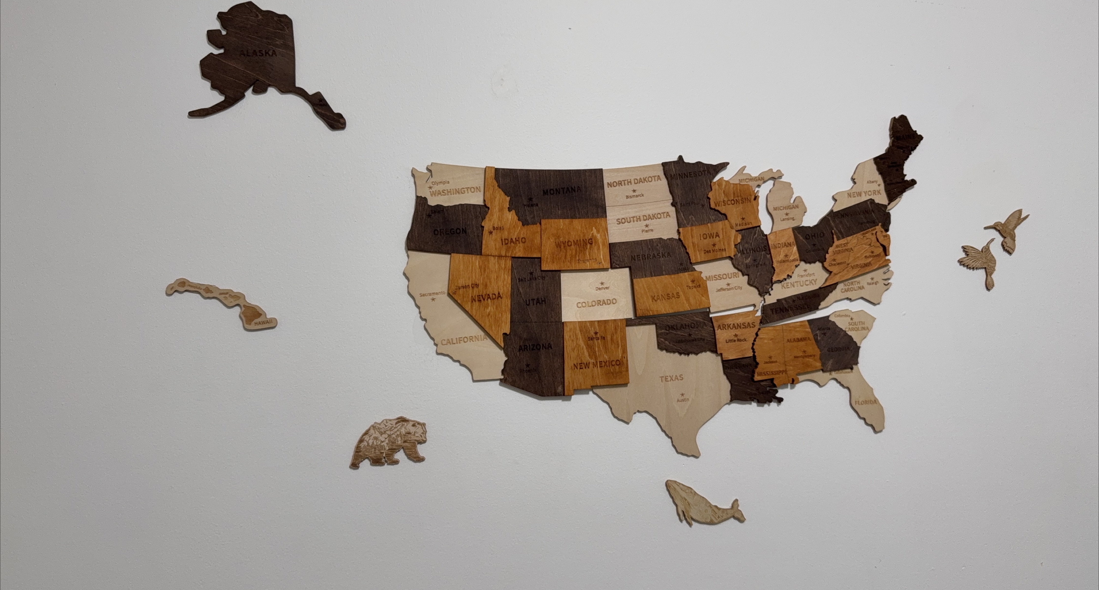 USA State Flags and Map Decor Set