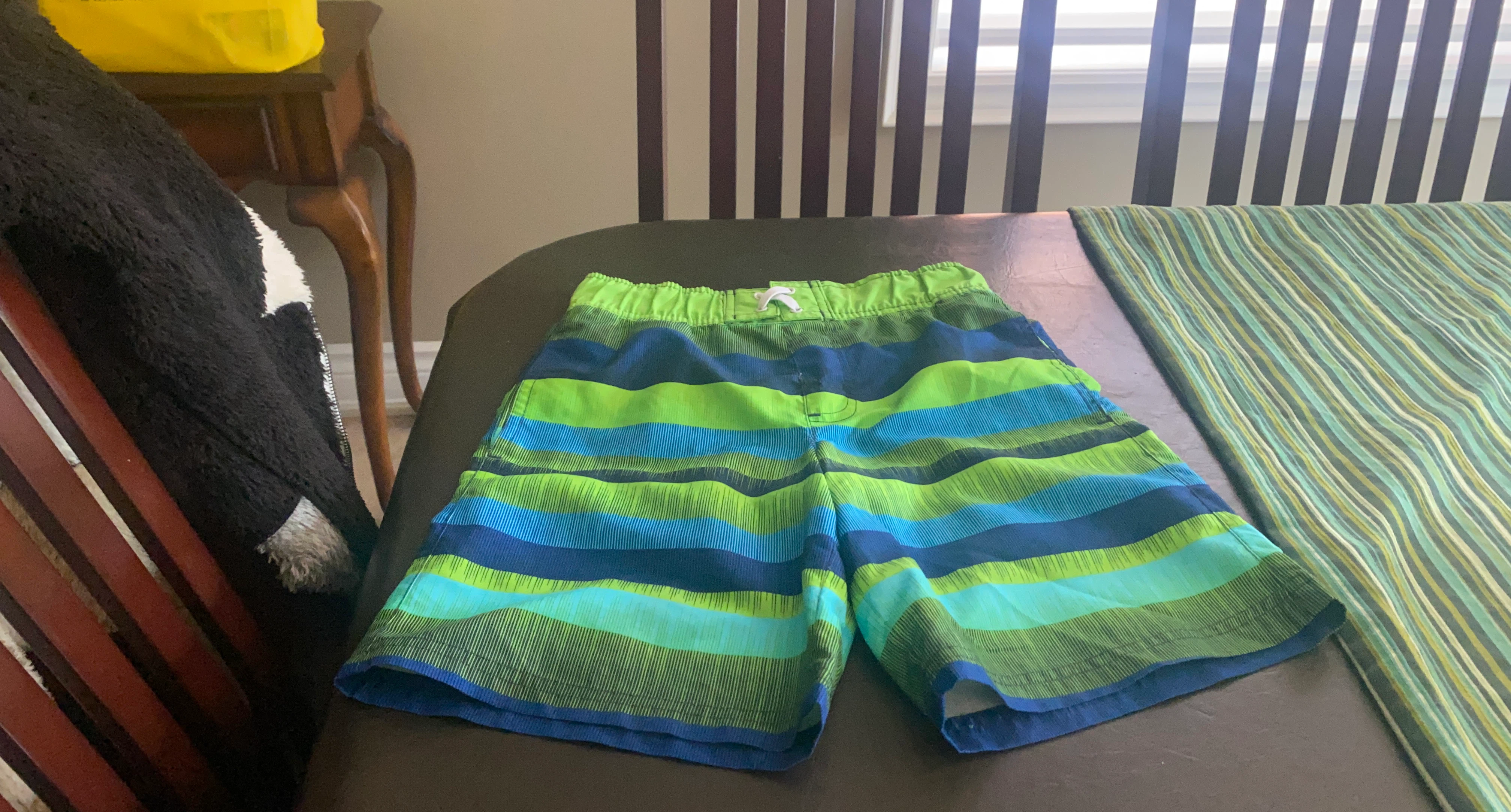 Boys Striped Swim Shorts