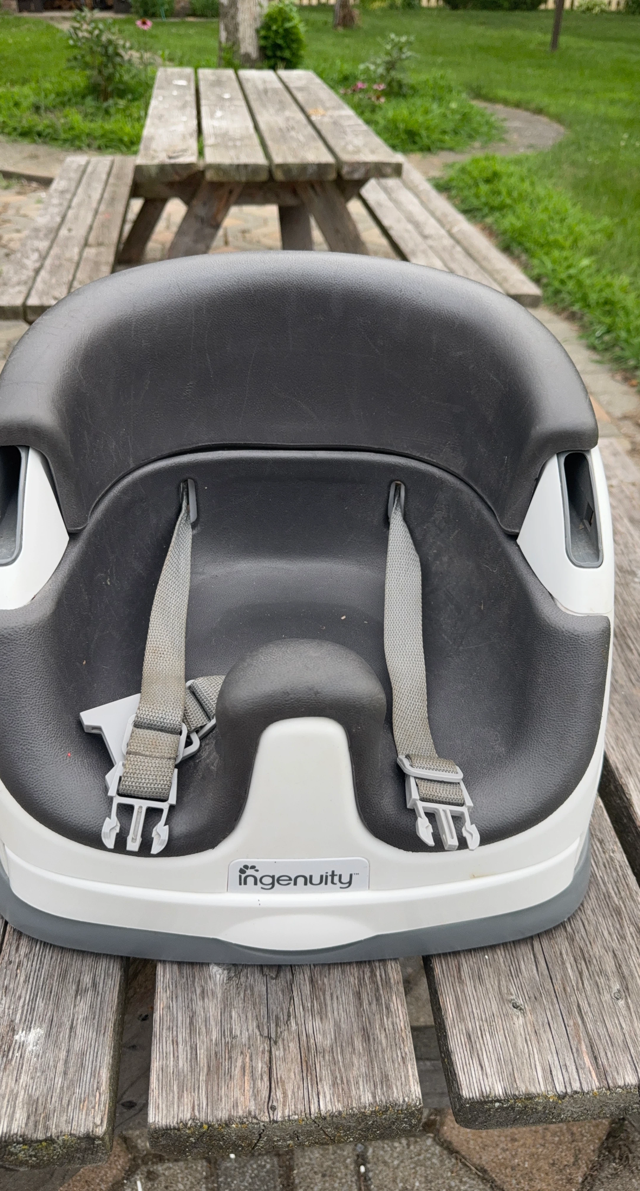 Ingenuity Booster Seat