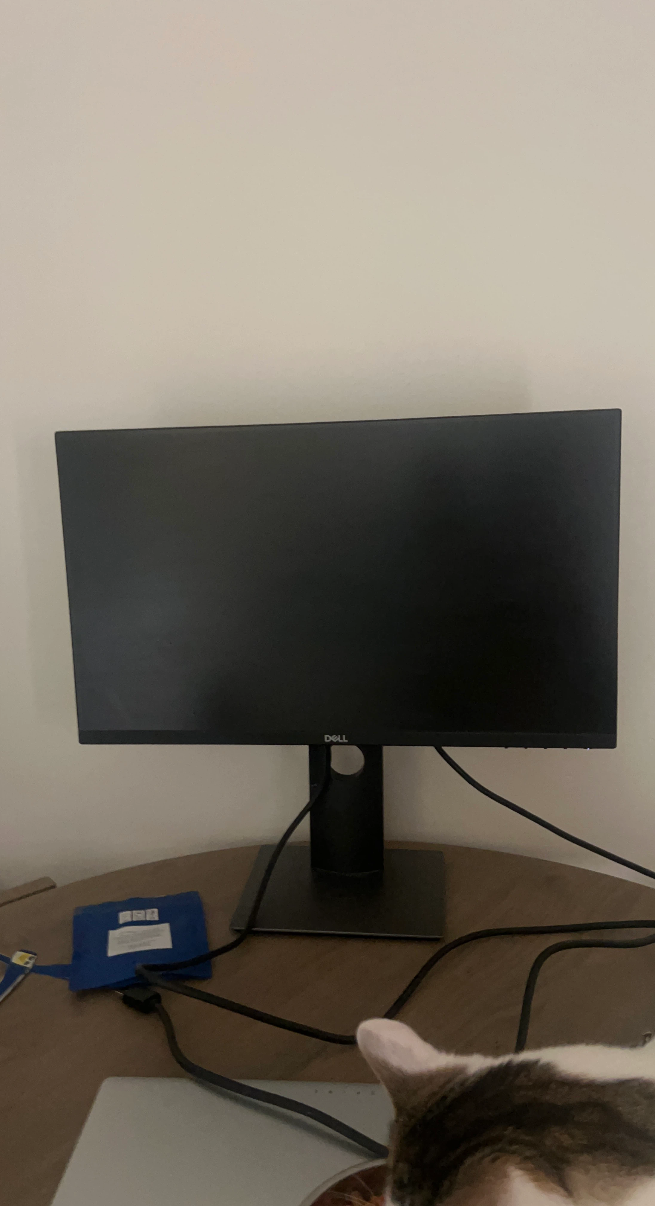 Dell 23” Monitor