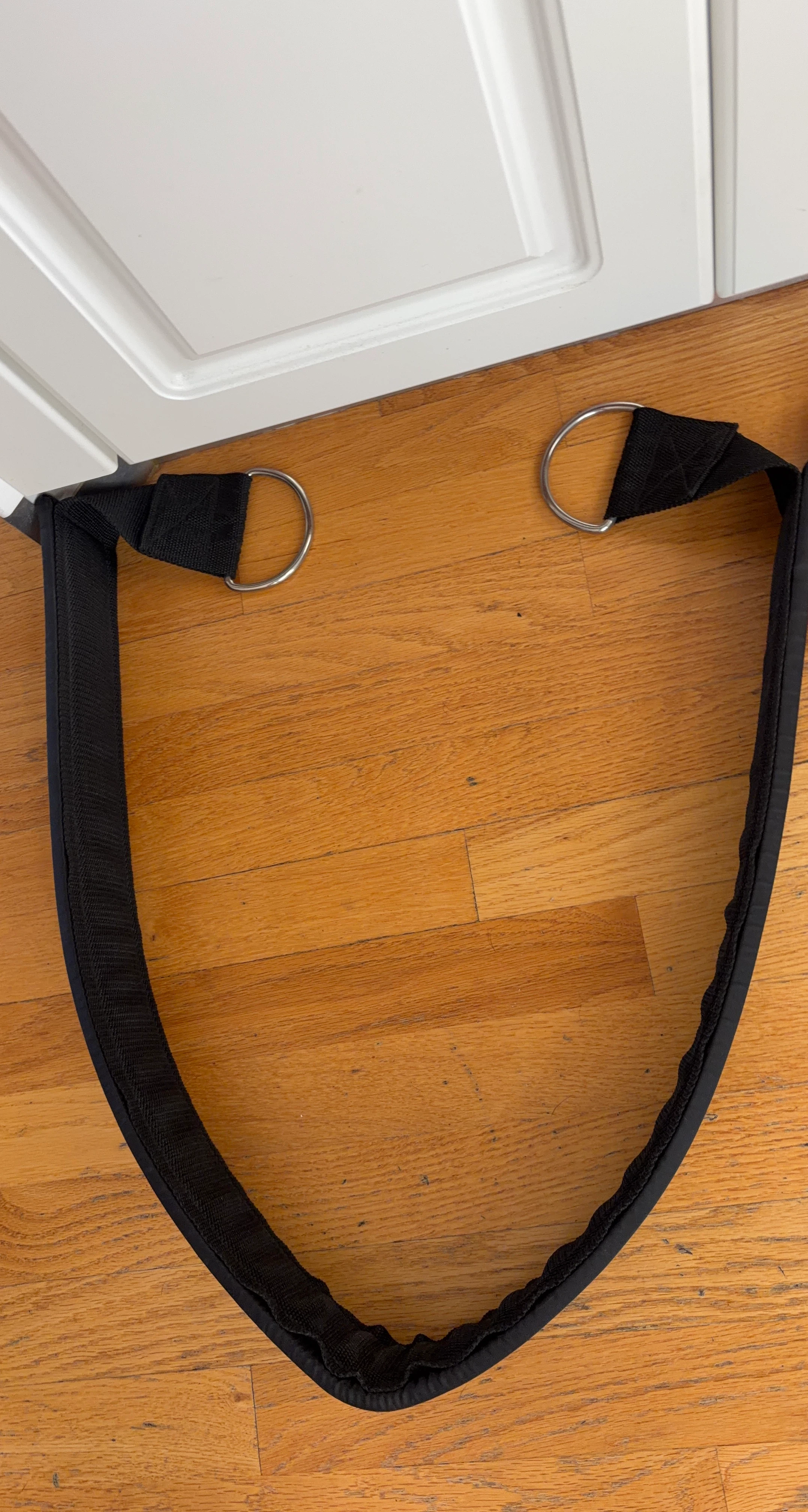 Black Door Anchor Workout Strap