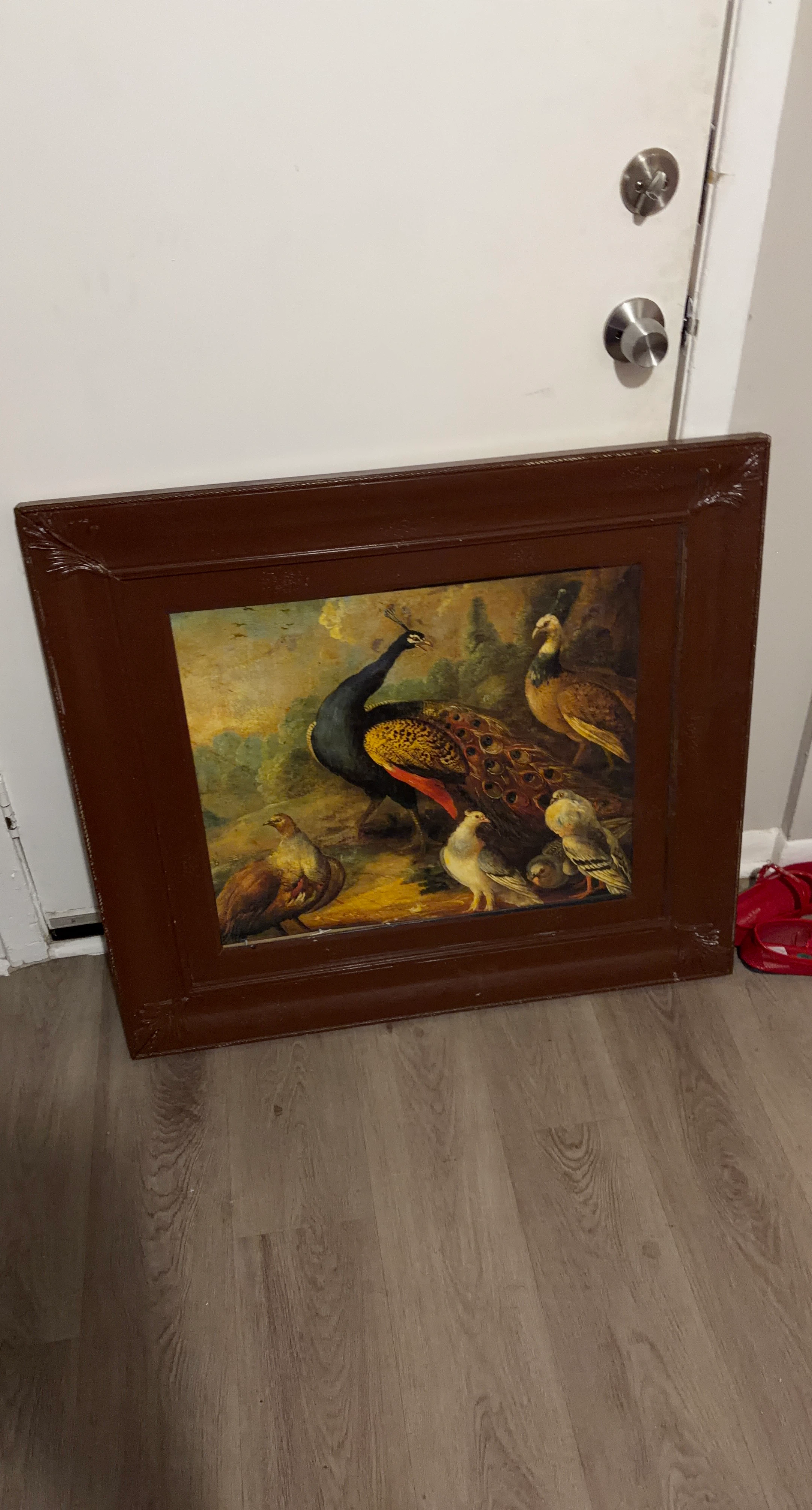 Framed Painting of Peacocks and Birds